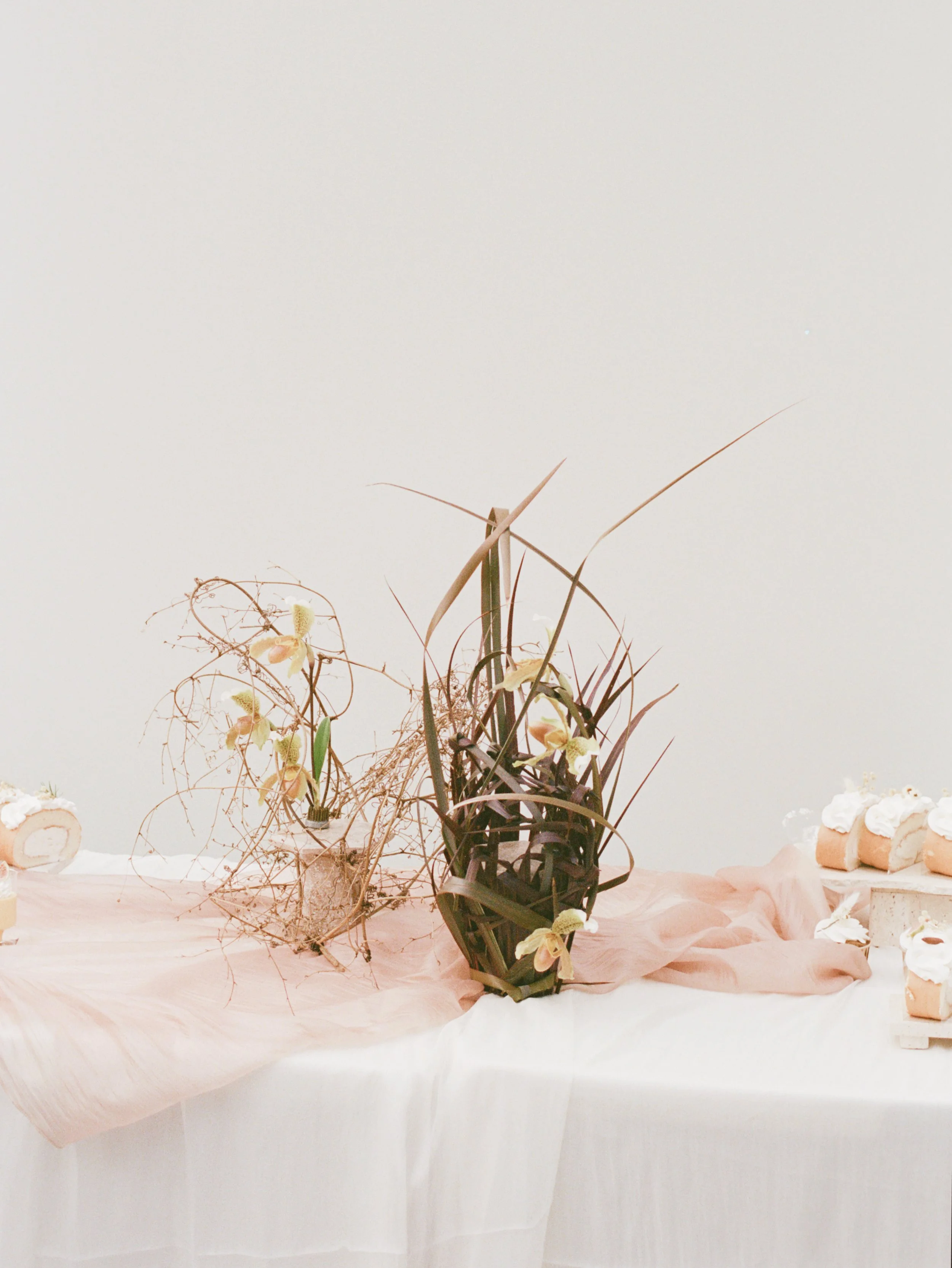 Dribbble shot - 608.jpg