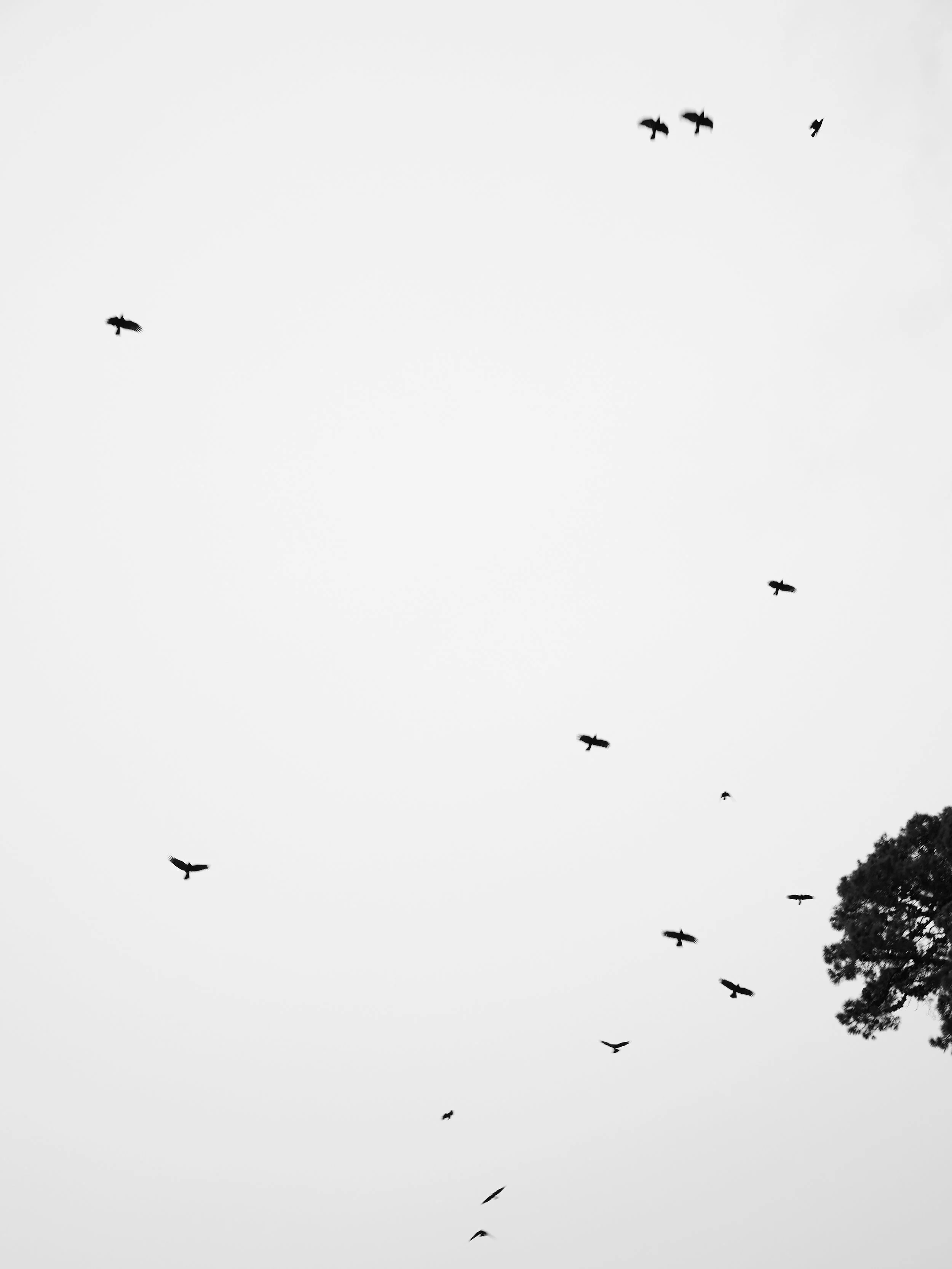 8D4A0790.jpg