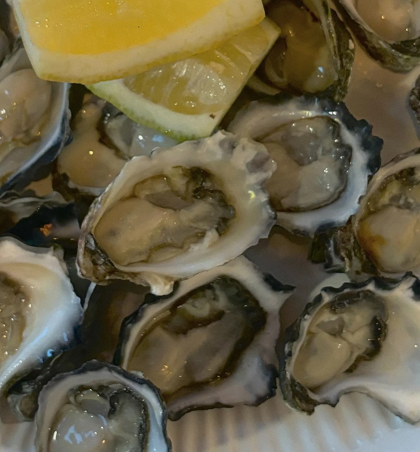 Your Friday plans just got a whole lot better🍸🦪

Join us for happy hour &amp; $3 oysters from 4:30pm-6:30pm this afternoon&hellip;

We&rsquo;ll have the oysters shucked and the drinks flowing, all that is missing is you!
~ See  you soon.