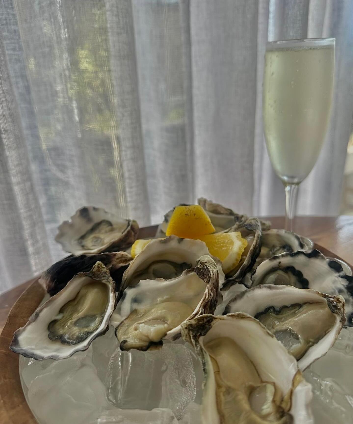 An afternoon well spent starts here 🦪🥂

What&rsquo;s on today:
Happy hour 4:30-6:30pm🍸
$3 oysters 4:30-6:30pm 🦪
Kids under 12 eat free 🍽️