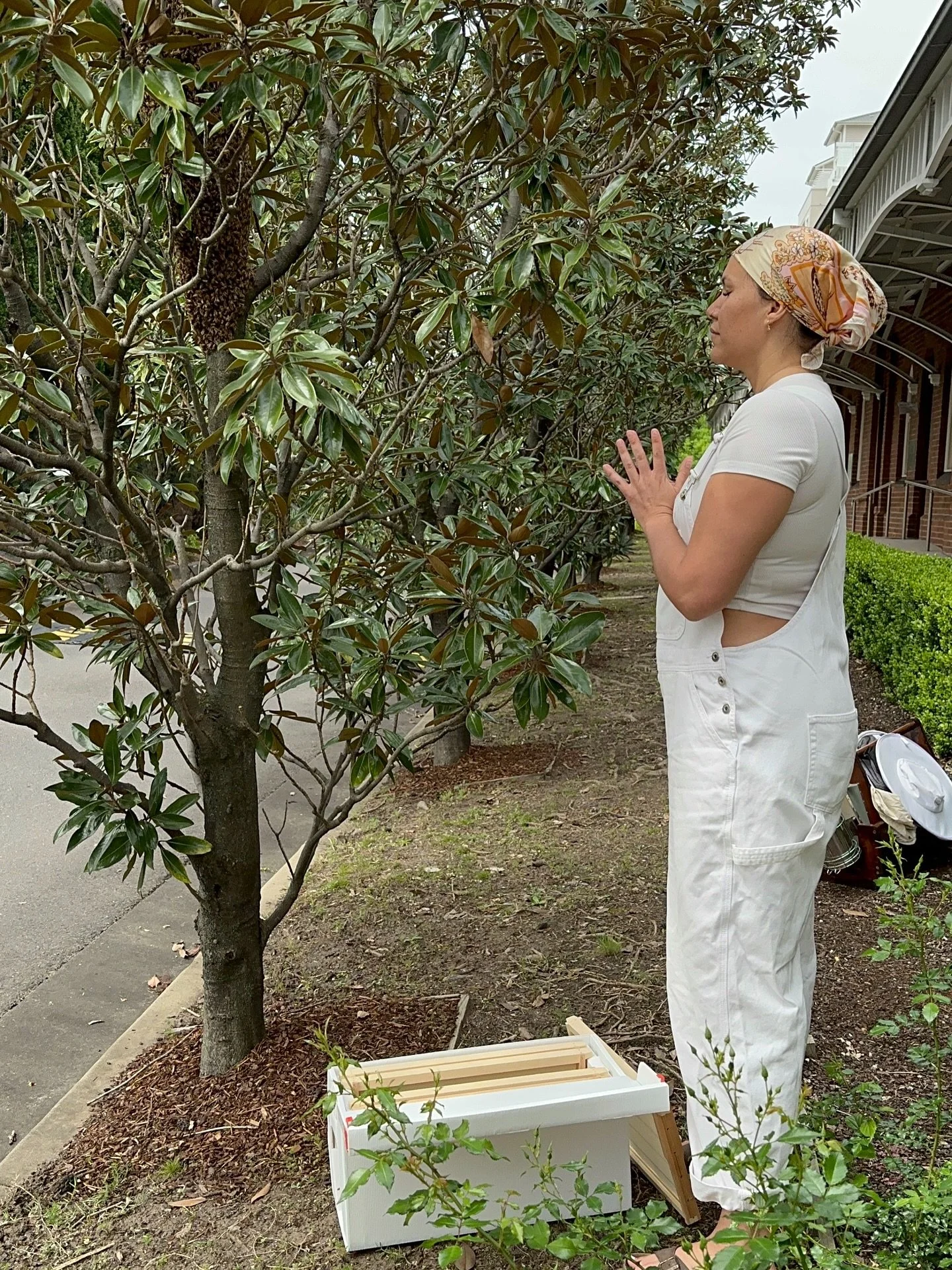 Sitting in the depths of Winter over here in Aotearoa, missing the hum of the hive, the thrill of the swarm, having my nose pressed so close to the inside of the hive pretending I&rsquo;m a bee transported to altered states by the scent. I miss you b