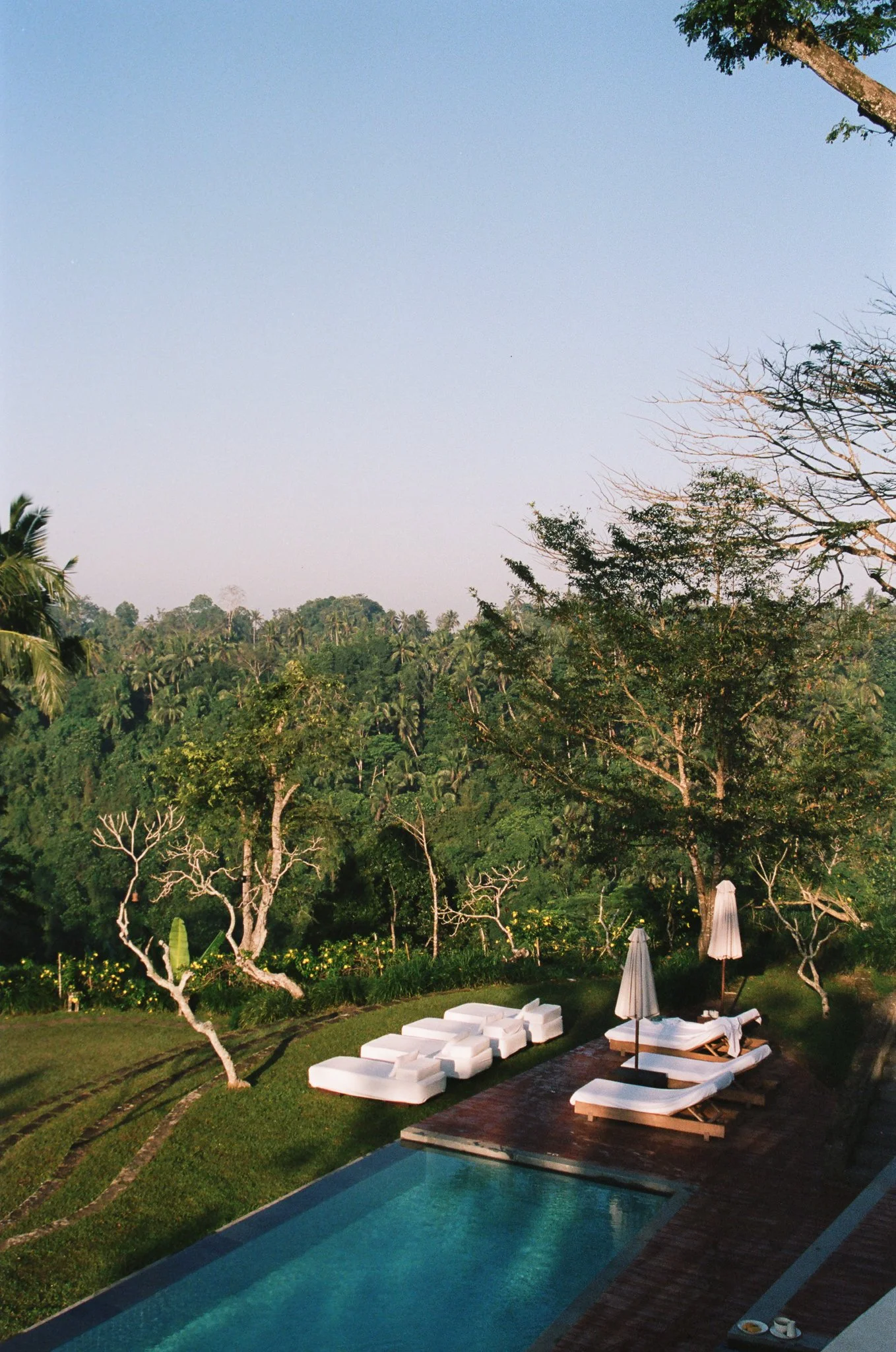 Website-6.jpg