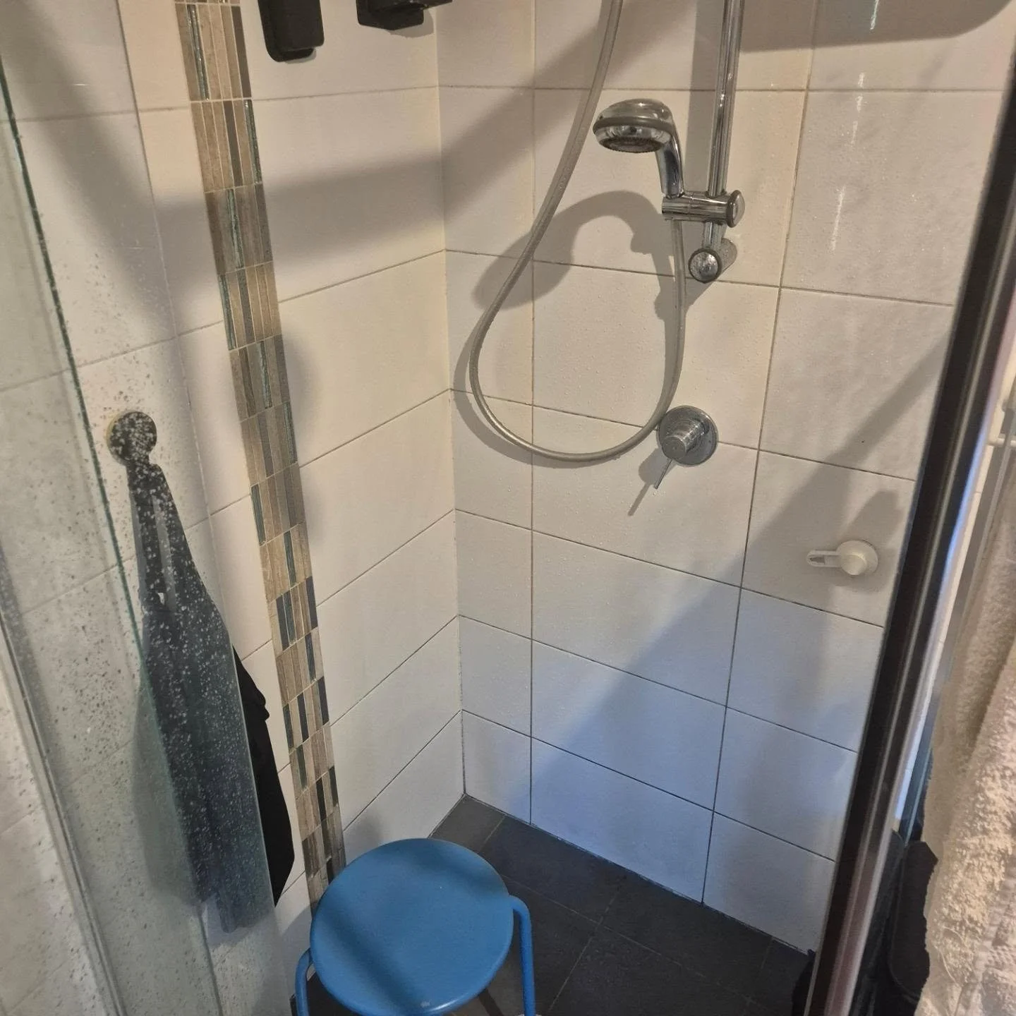 I have been missing from Insta because my back gave up on Sunday night and I spent four days mostly bed bound.  During that time I was super grateful for the fact that this is the shower head in our ensuite.  Even if my husband could help me shower, 