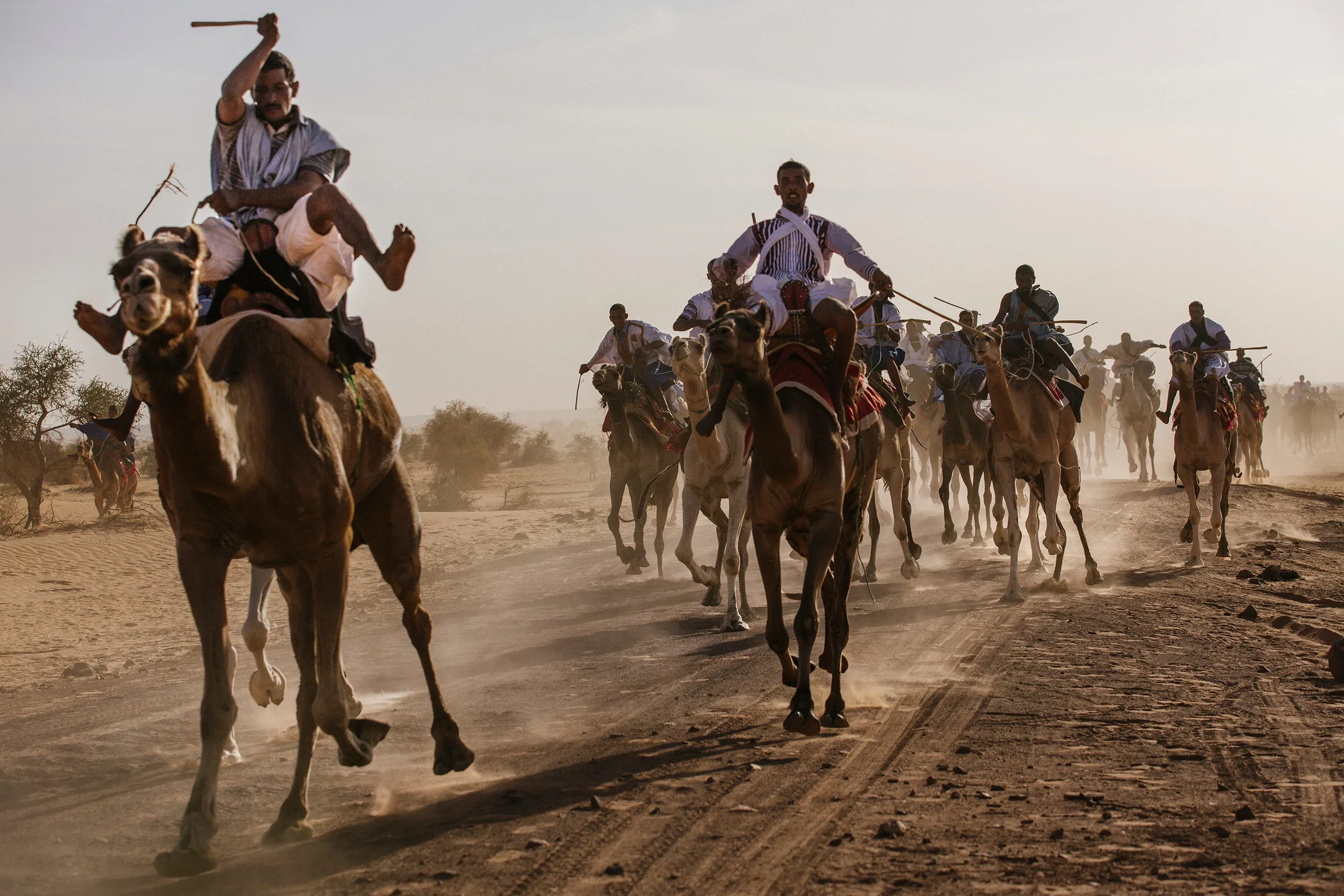 Camel-racing_P4A9575.webp