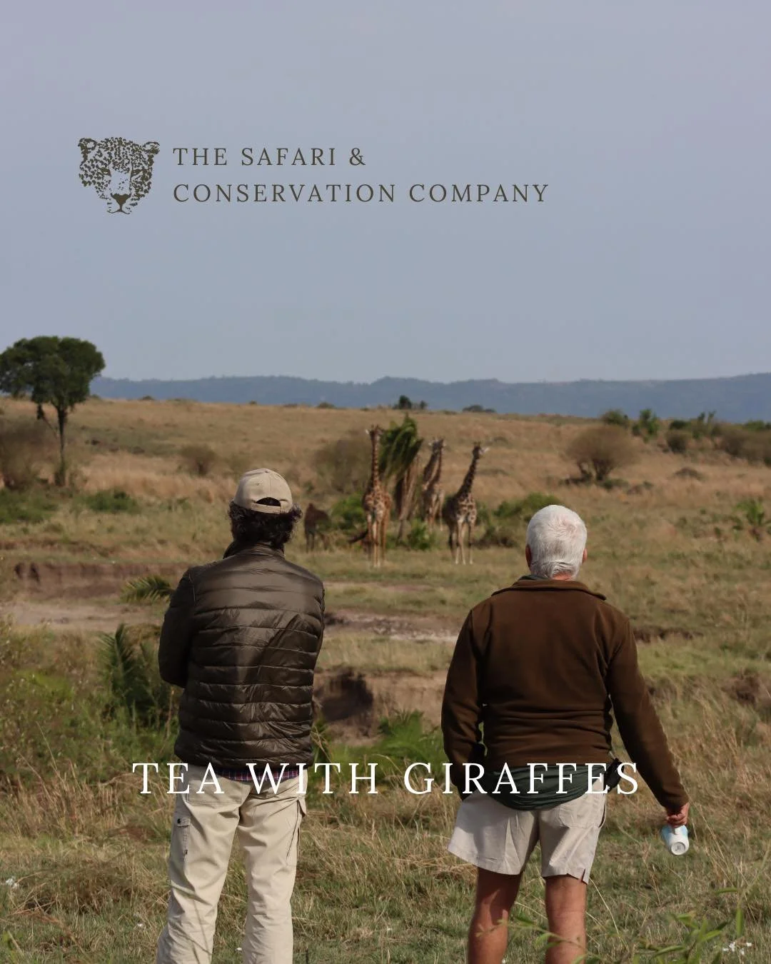 Just your average safari morning: hot tea, buttery biscuits, and a few long-necked onlookers judging your table manners.

#TeaTimeButMakeItSafari #GiraffeApproved #LuxuryInTheWild #AndyRobertsOnTour #BreakfastWithAView #SCCMoments #WildEncounters #Ke