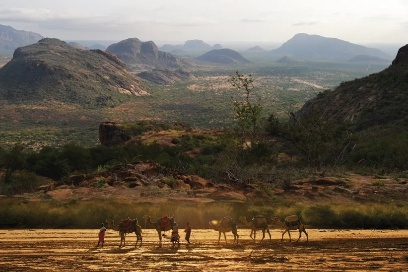 Kenya - Camels copy.jpg