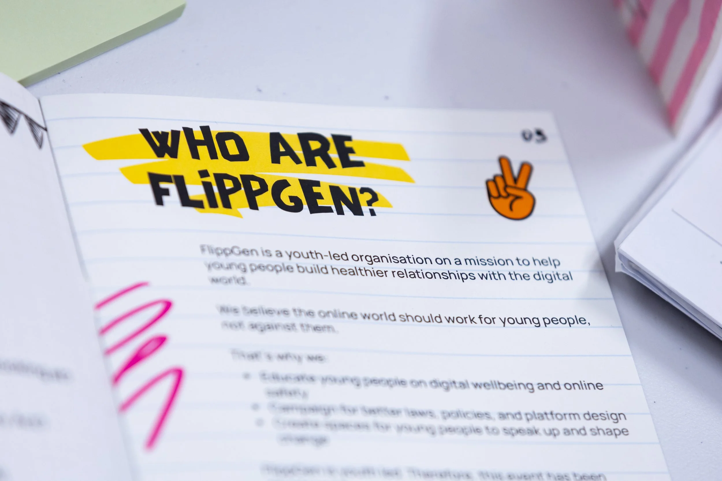 Flippgen YTH & Lush (high res)_95.jpg