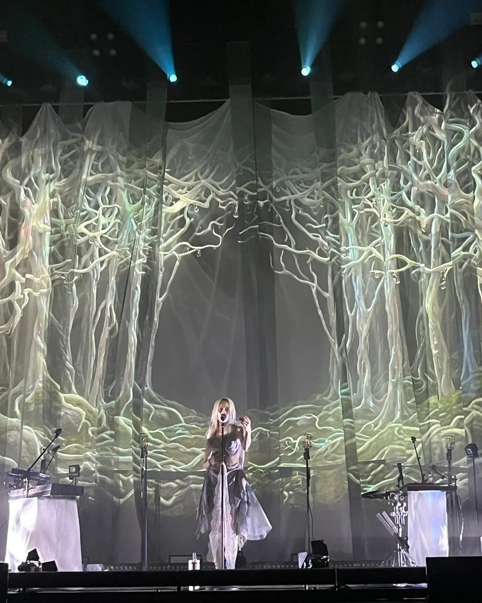 Lovely to work alongside our dear friends at @litealt, @paul_normandale For Erin LeCount's Pareidolia tour. 

We created flowing silky parachute drapes, designed to become part of the performance itself. Dancers interact with the velcro-rip voiles th