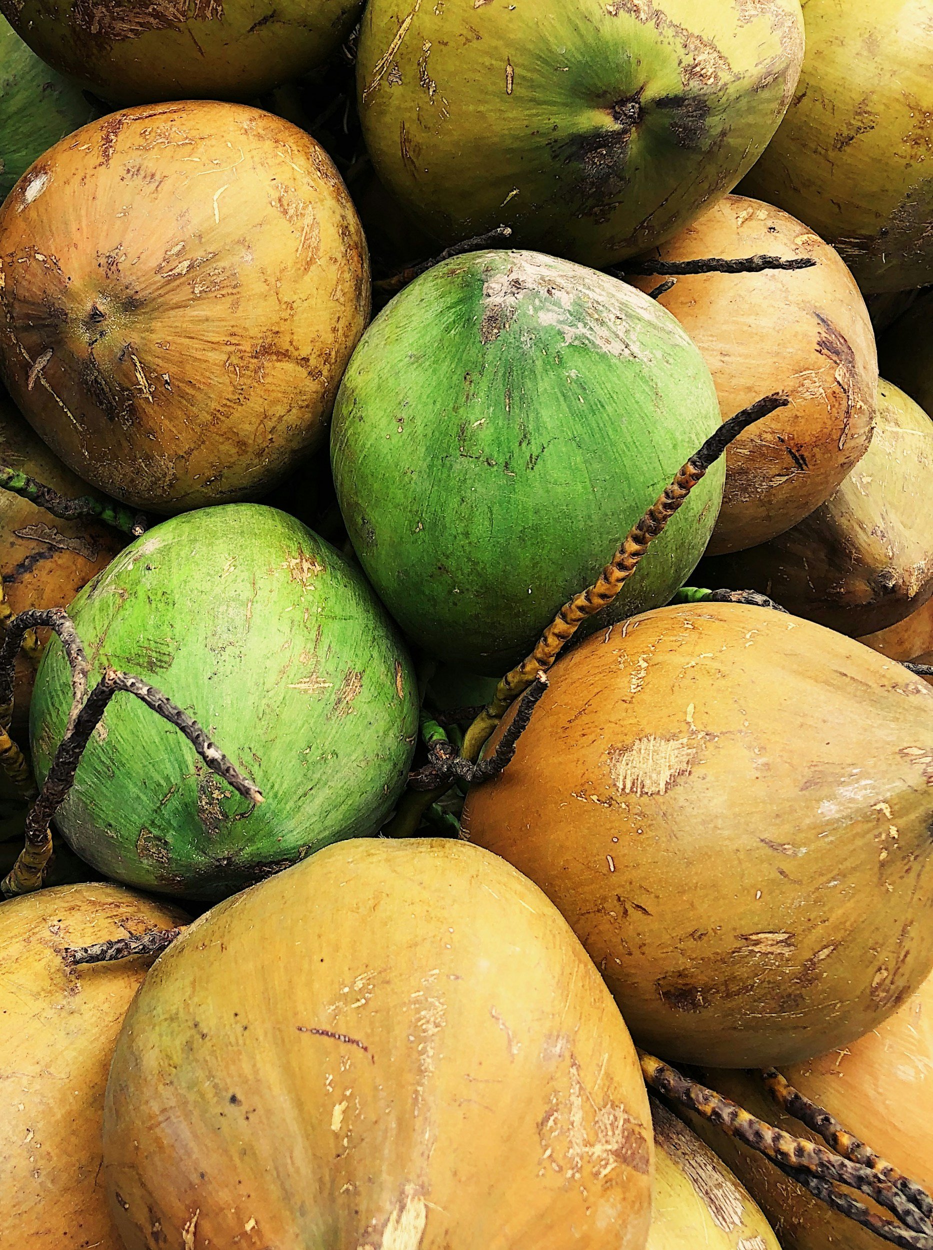 Fresh green and yellow coconuts stacked together, a staple of Maldivian islands