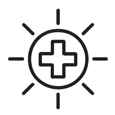 Swiss Icon