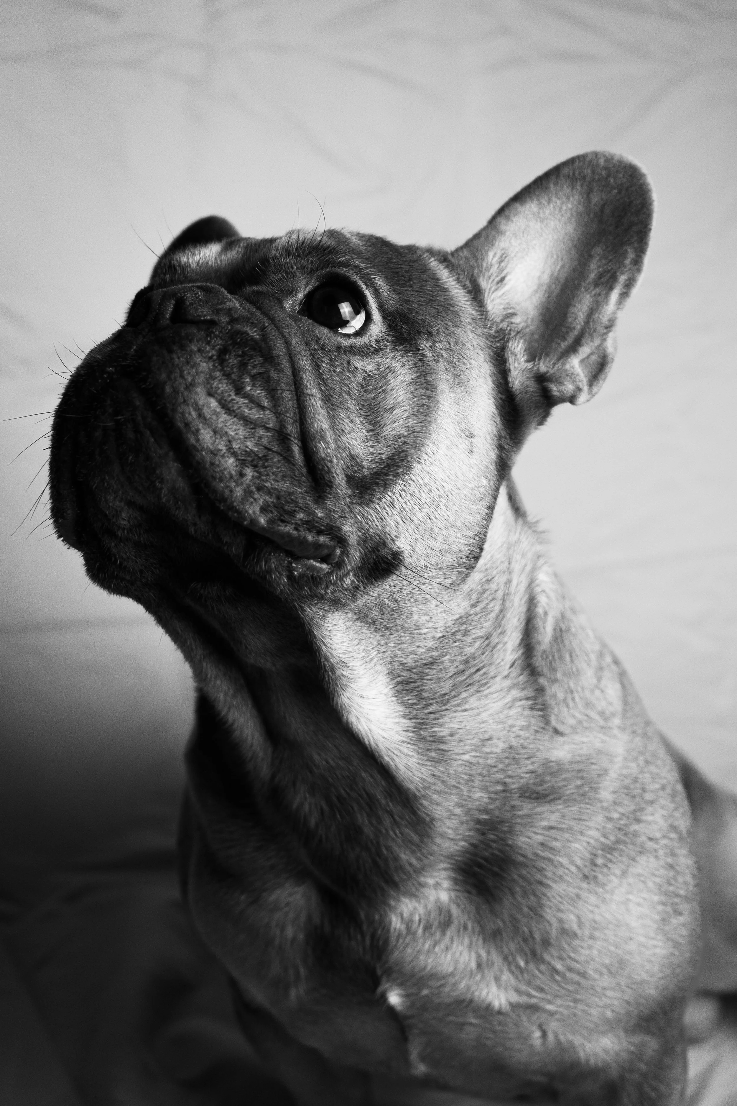 Ray&Daisy-15.jpg