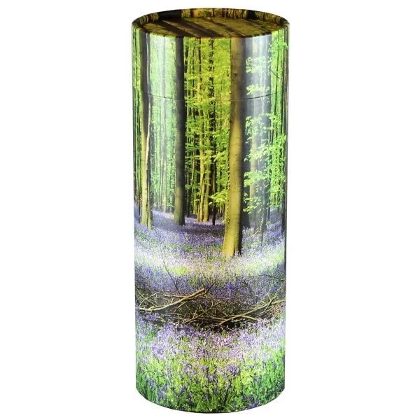 Bluebell Forest.jpeg