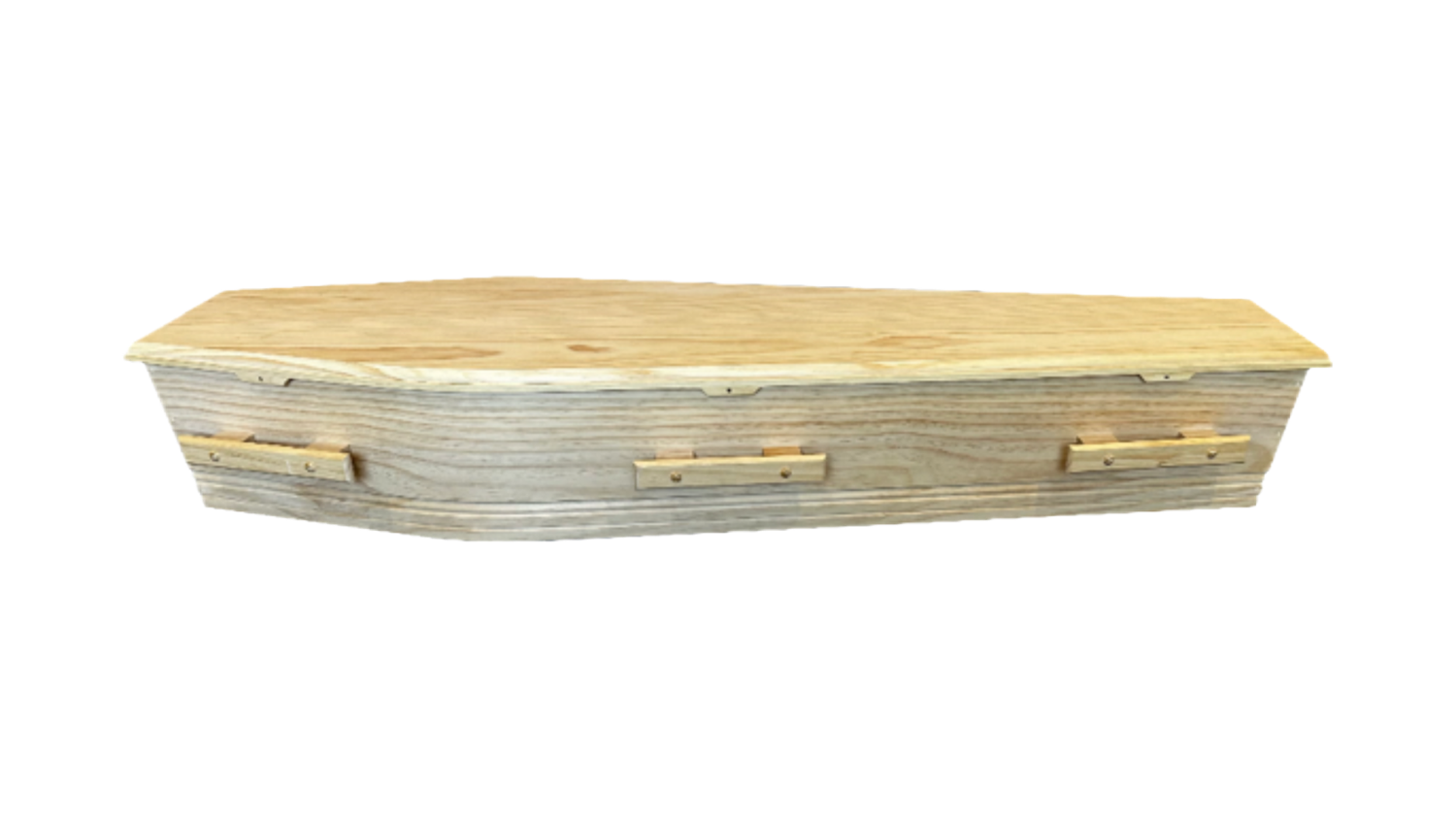 Enviro Coffin