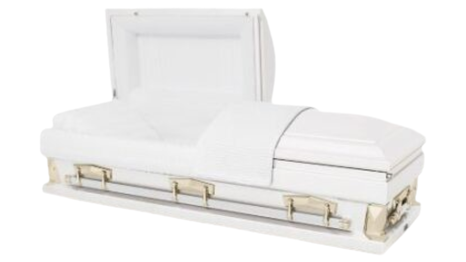 Spectra White