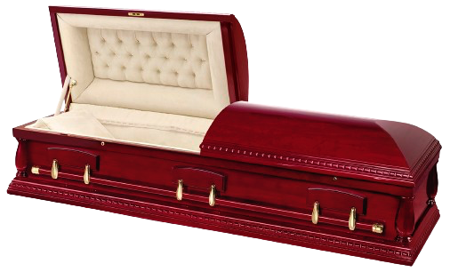 Precious Memories.PNG