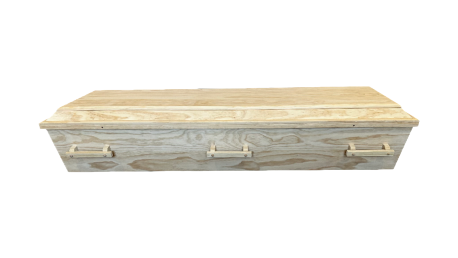 Enviro Casket