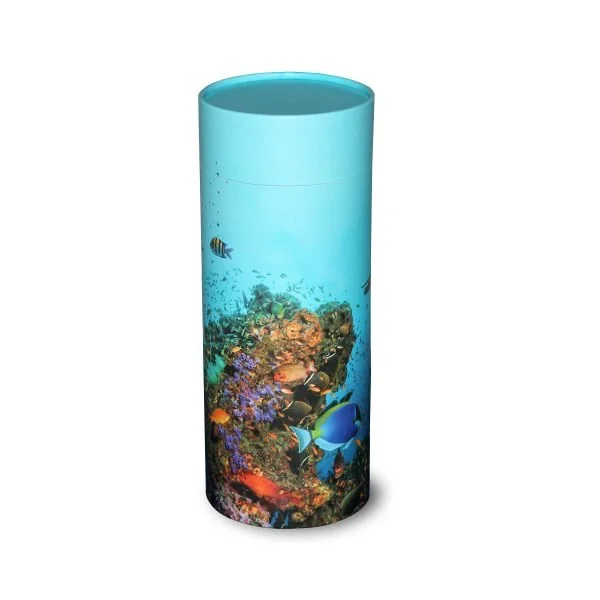 Coral.jpg