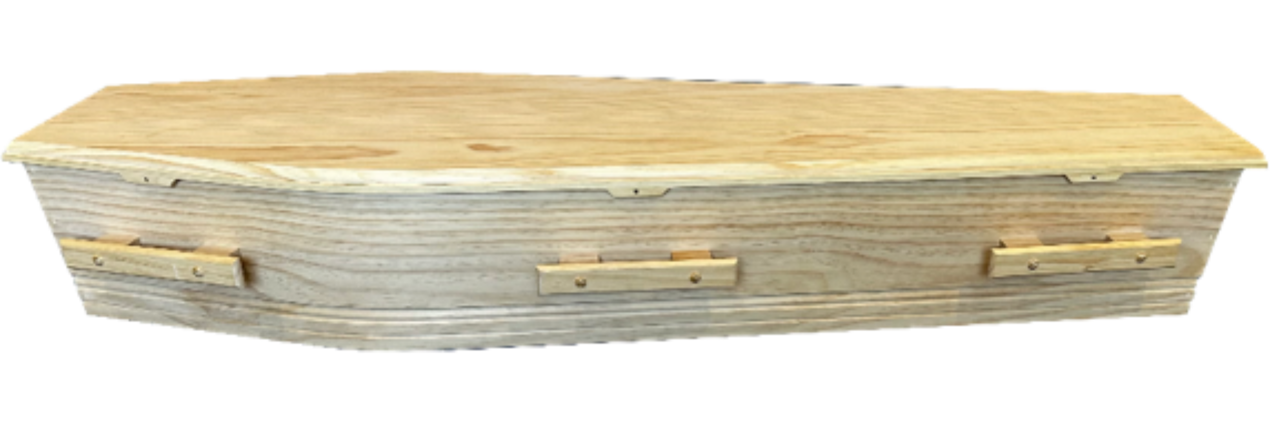 Enviro Coffin.PNG