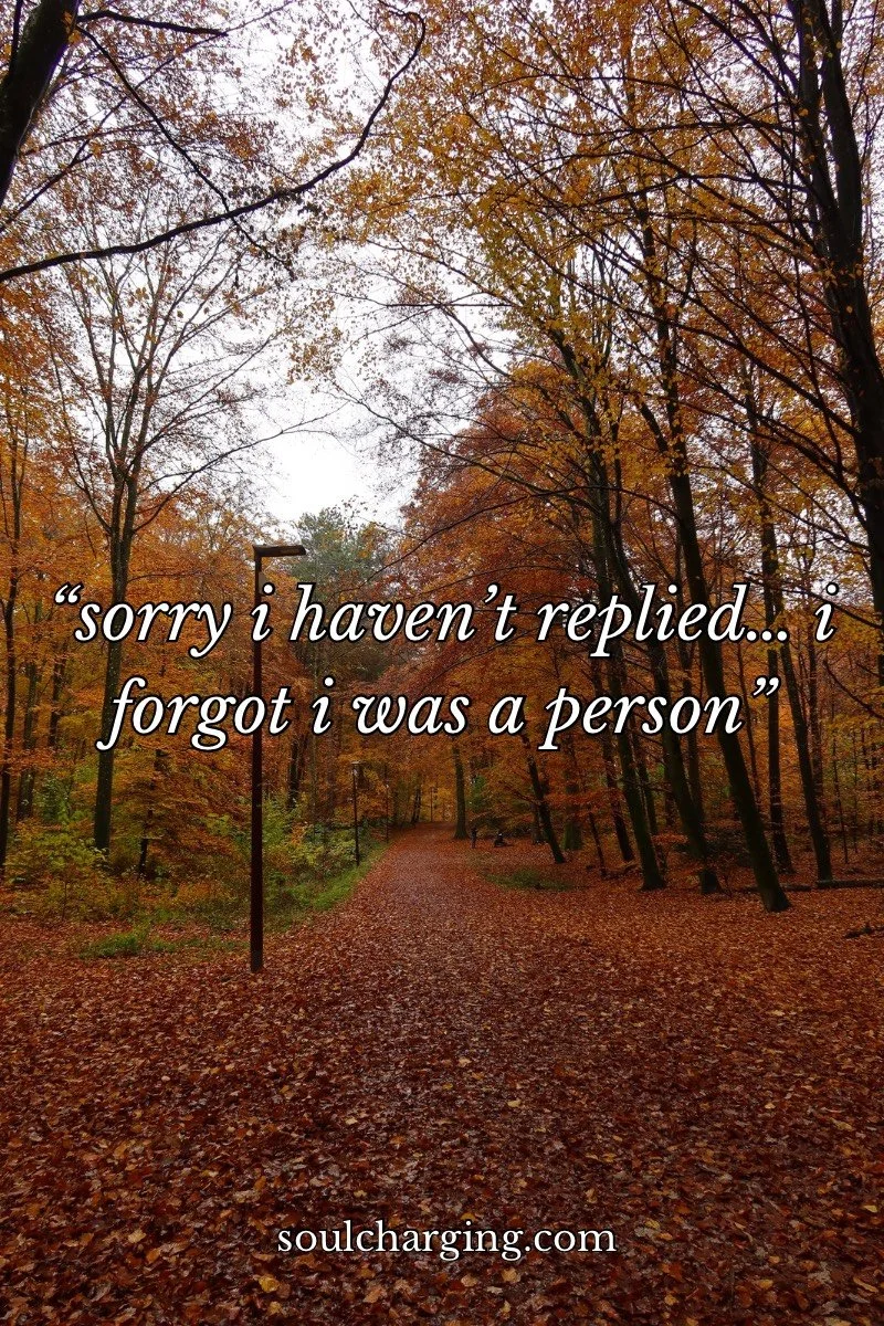 “sorry i haven’t replied… i forgot i   was a person”
