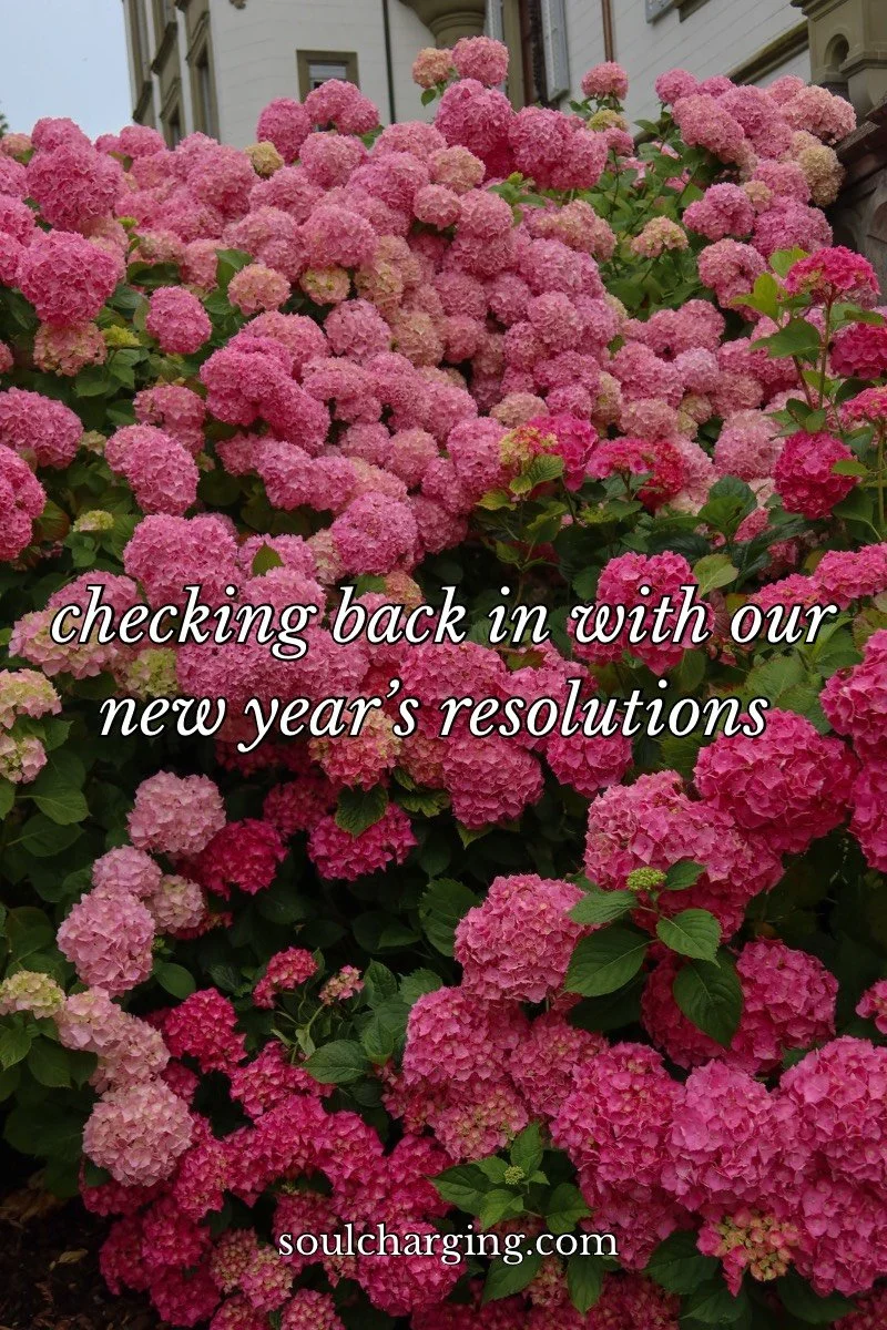 checking back in  with our new             years resolutions