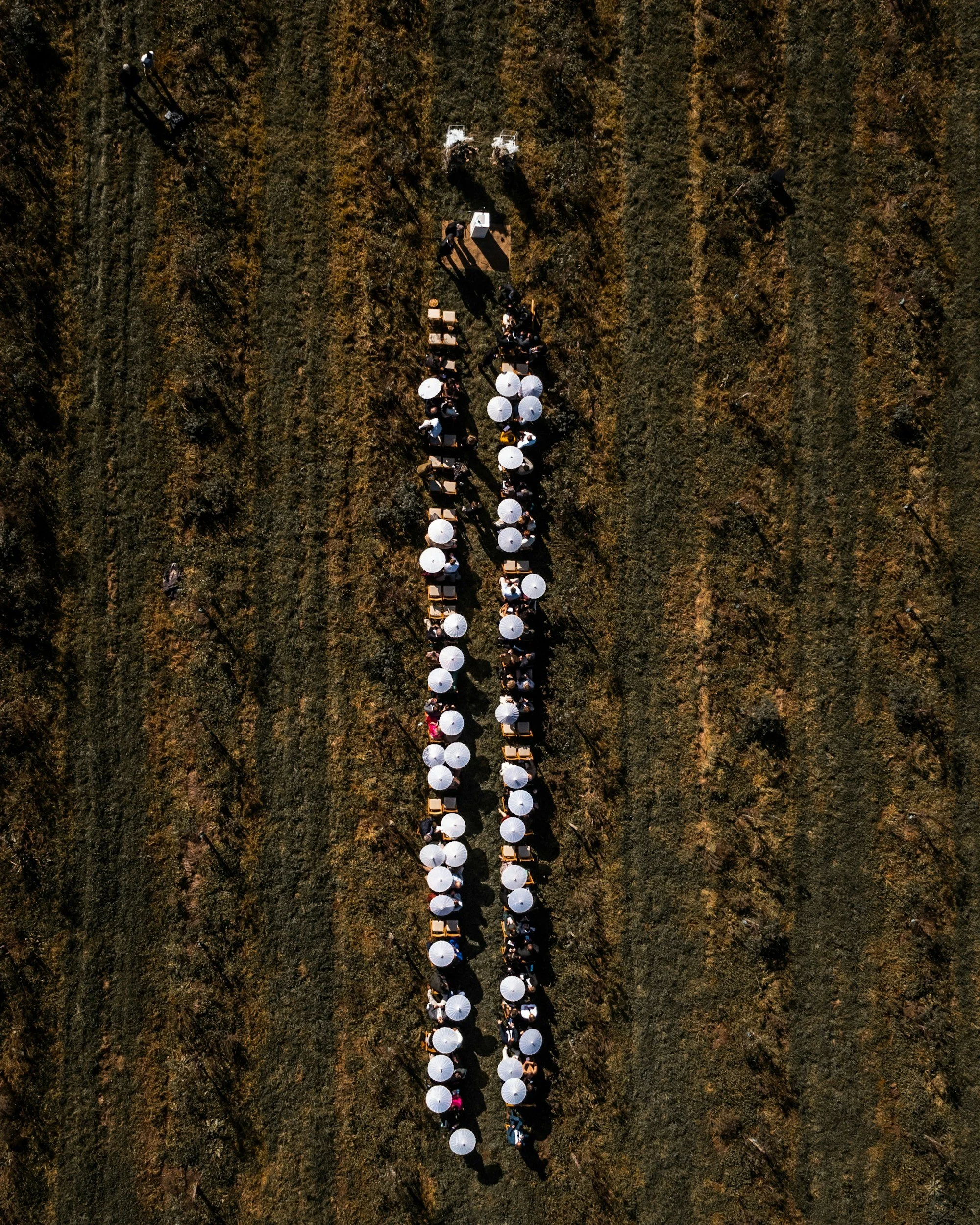 Bird's eye view of garden wedding.