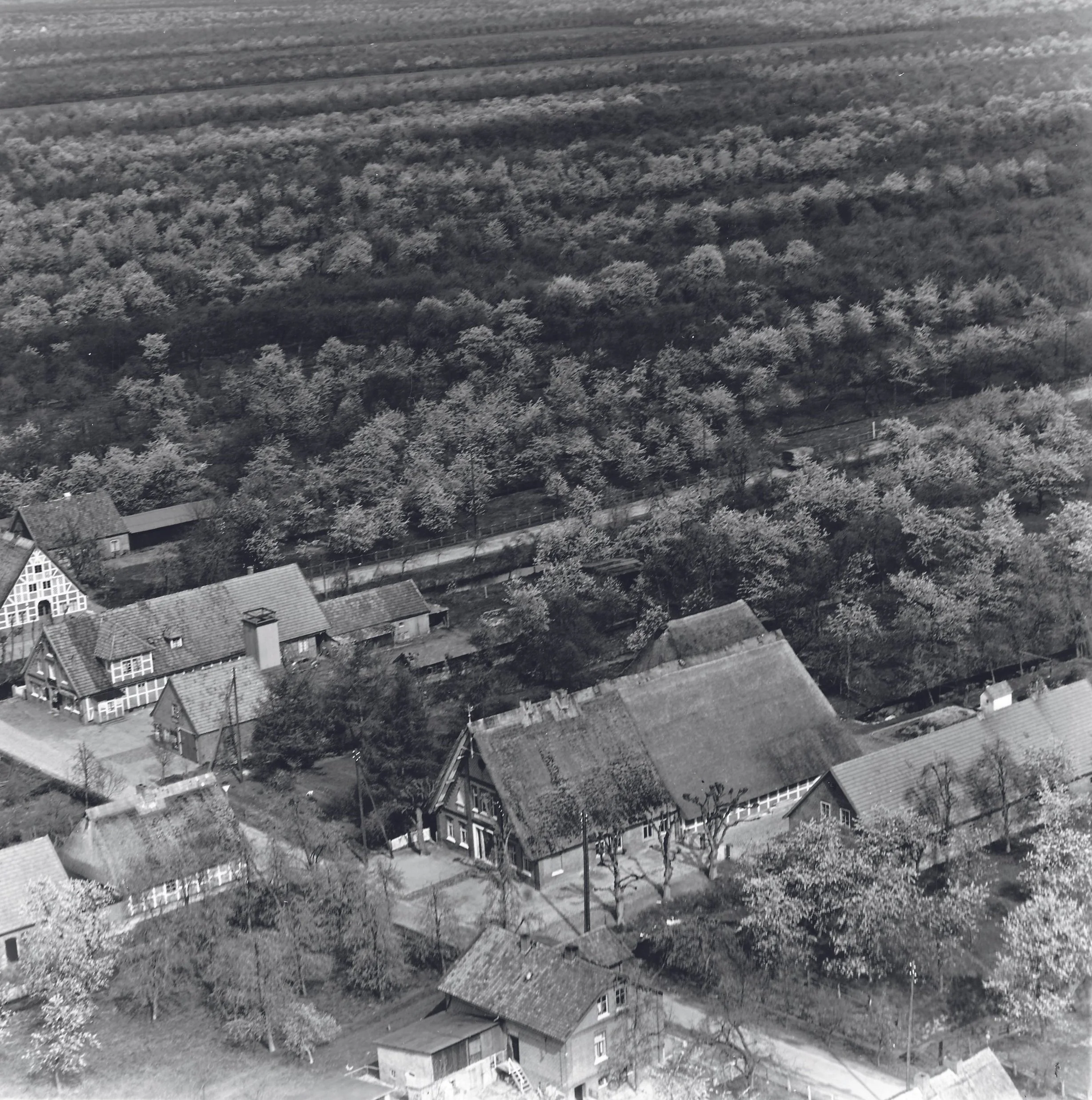 Schwarz-Weiß-Foto eines Dorfes mit mehreren Häusern und einem großen Wald im Hintergrund.