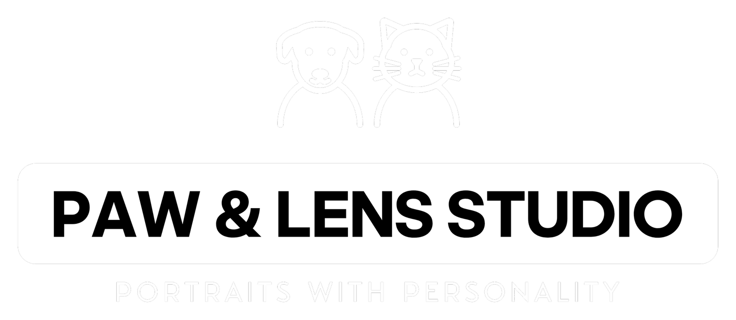 London Based Pet Photography