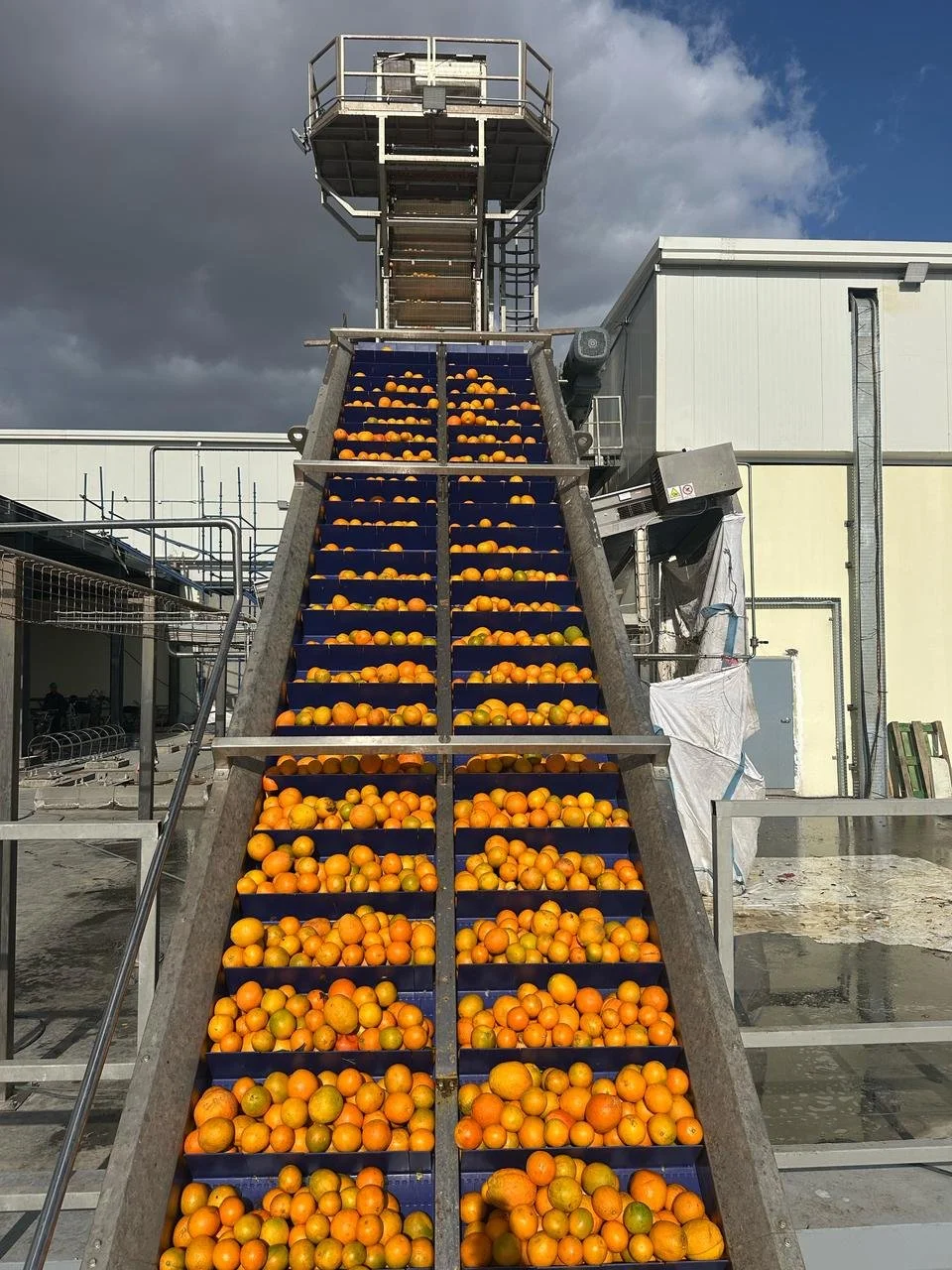 Fruit processing factory Egypt