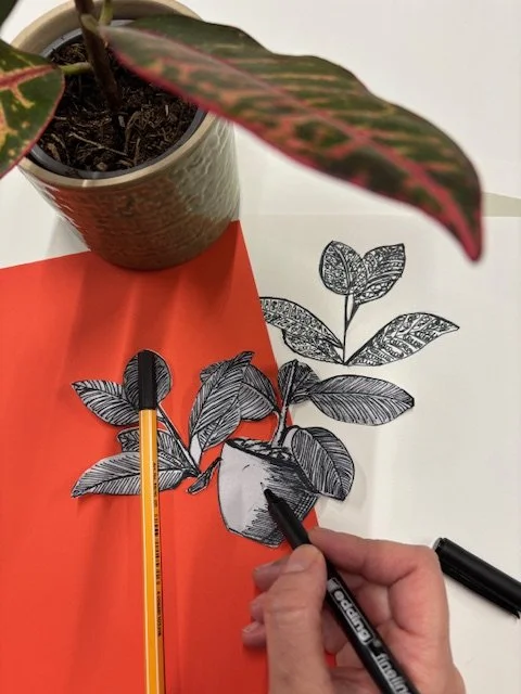 Natural Forms: Evening Drawing Session