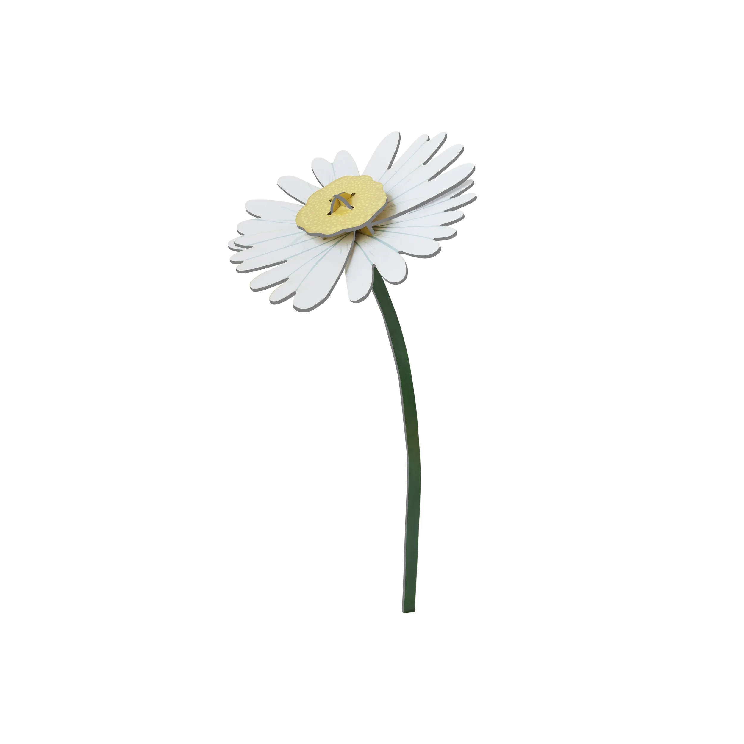DAISY_PRODUCT-PICTURE.jpg