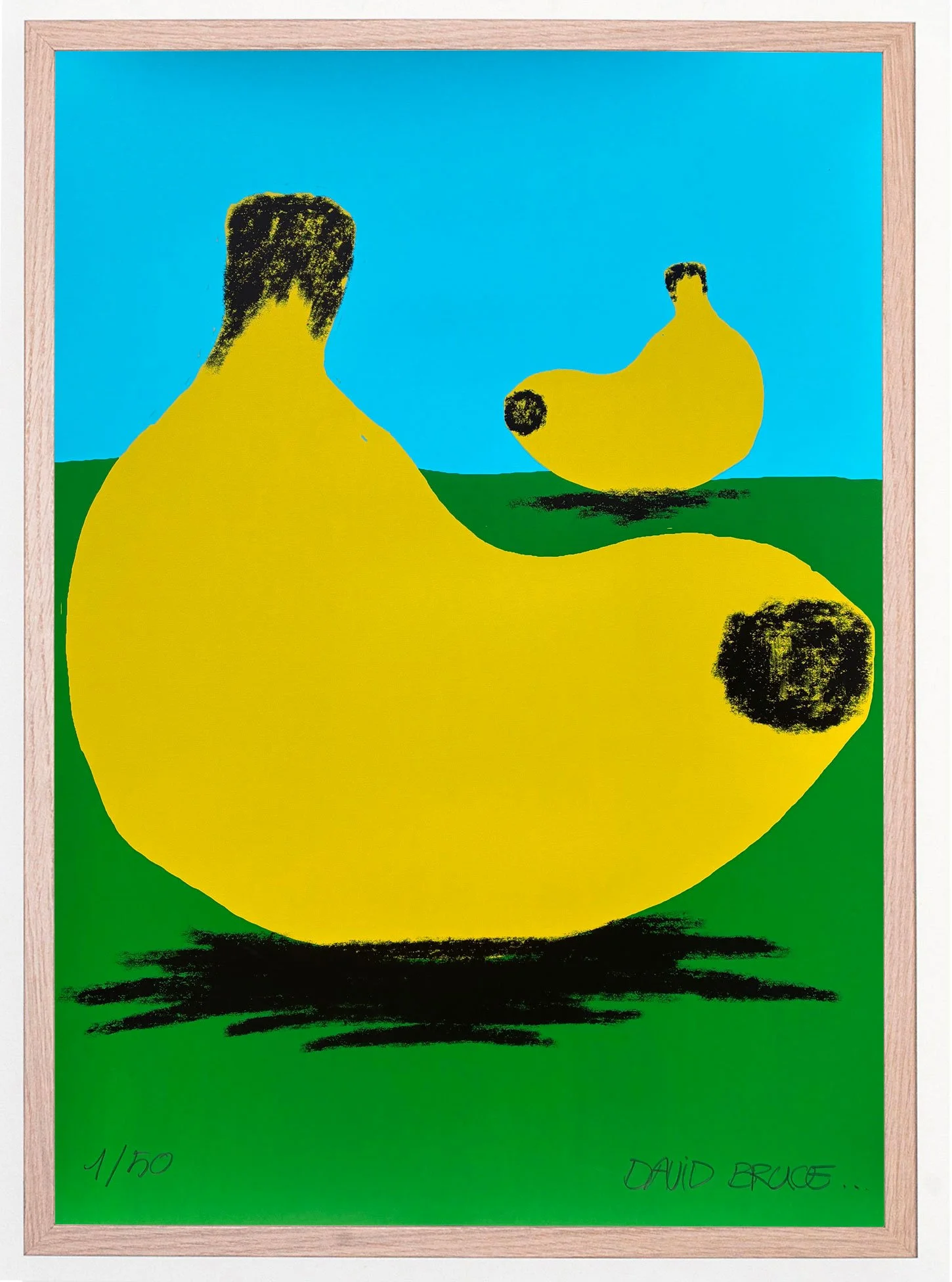 #114 - David Bruce.jpg