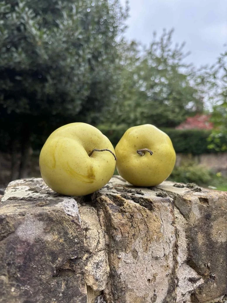 Apple Candle by Bombi