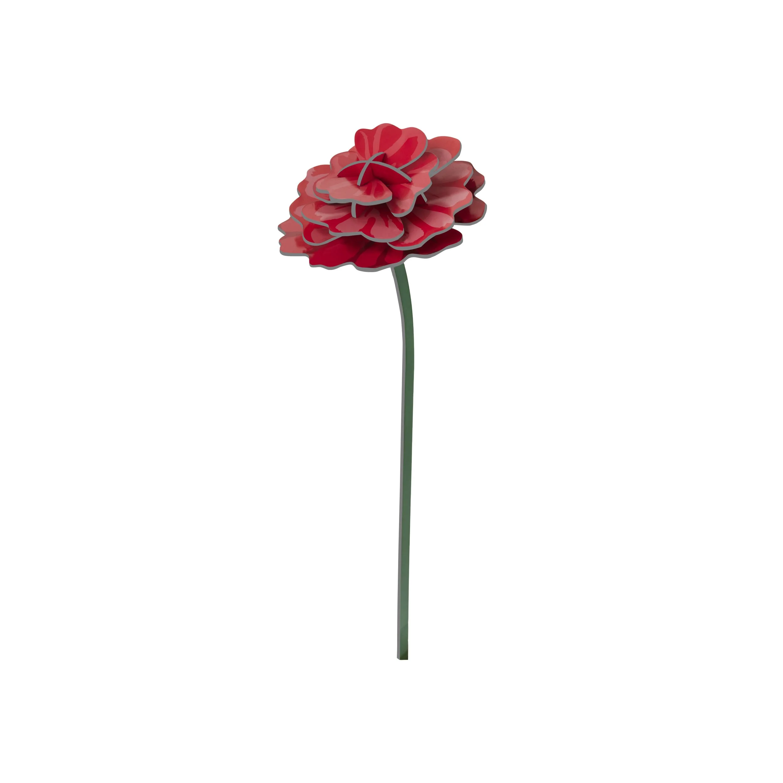 ROSE_PRODUCT-PICTURE.jpg