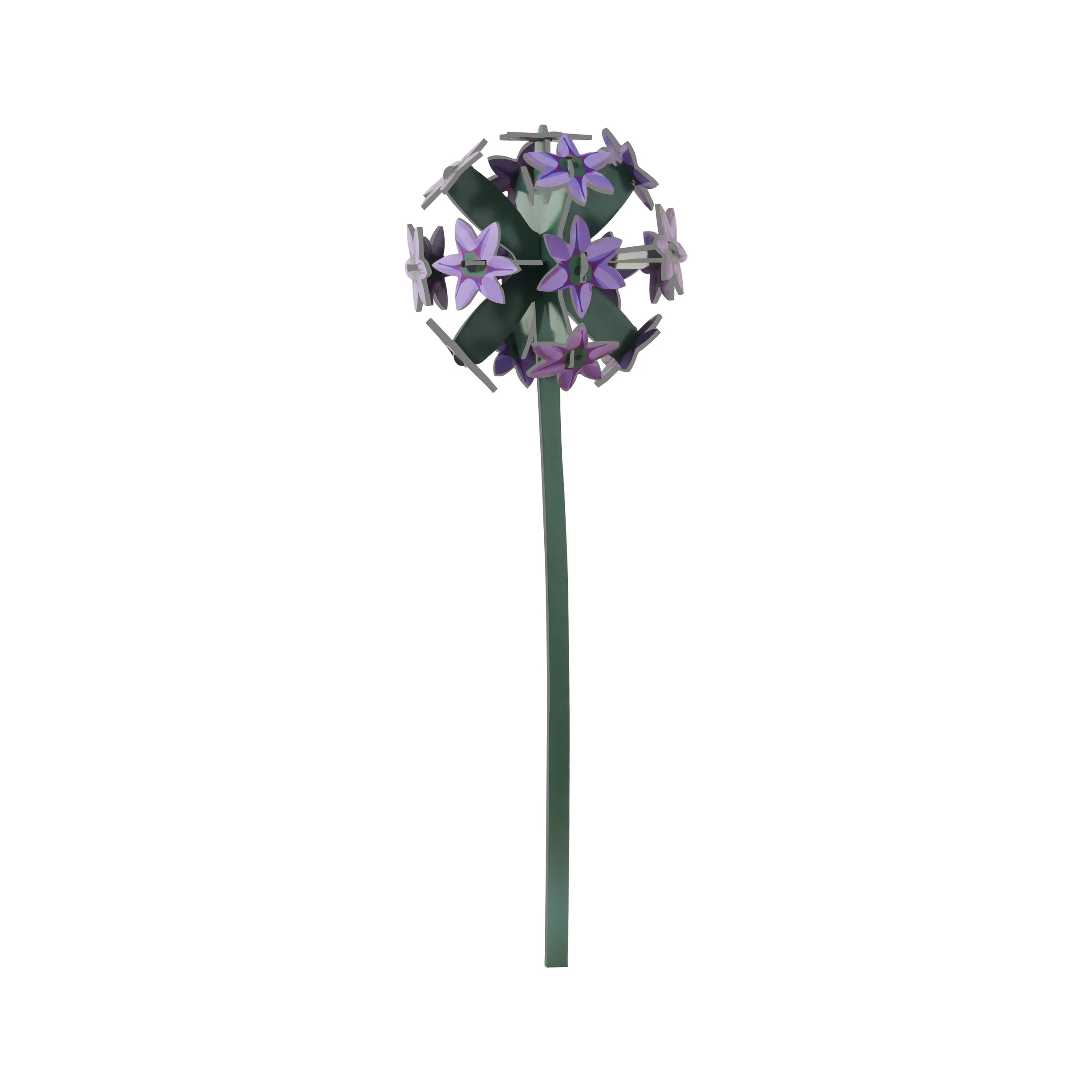 ALLIUM_PRODUCT-PICTURE.jpg