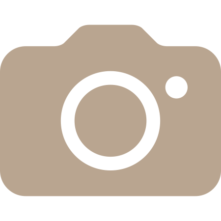 Icône d'appareil photo stylisé en gris et noir.