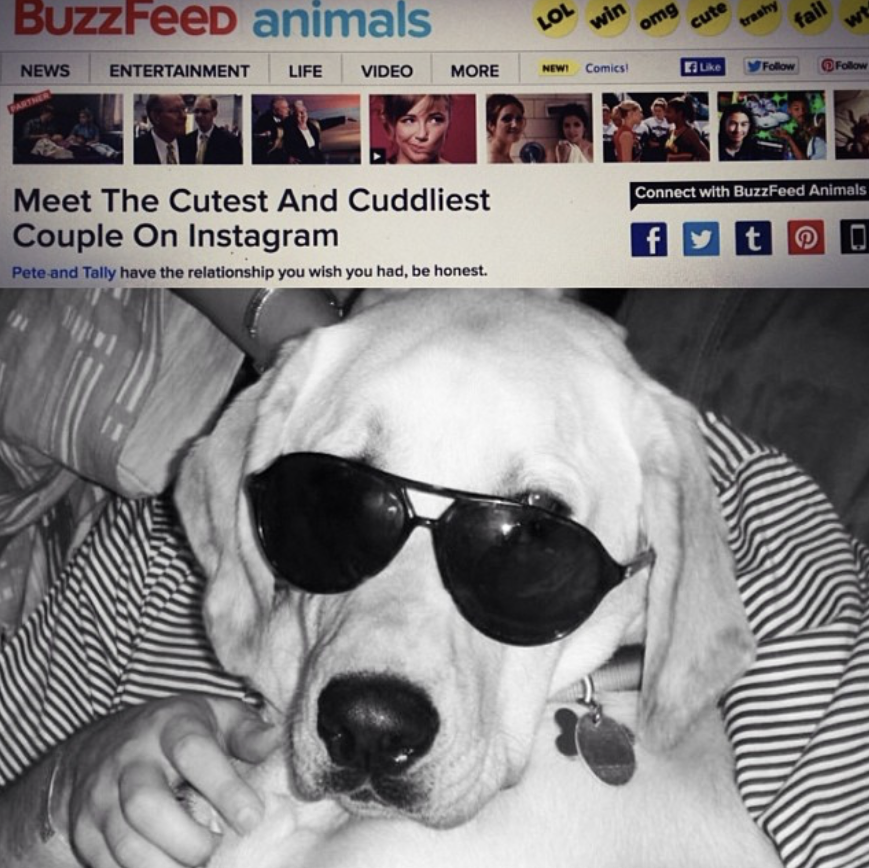 They quickly went viral...