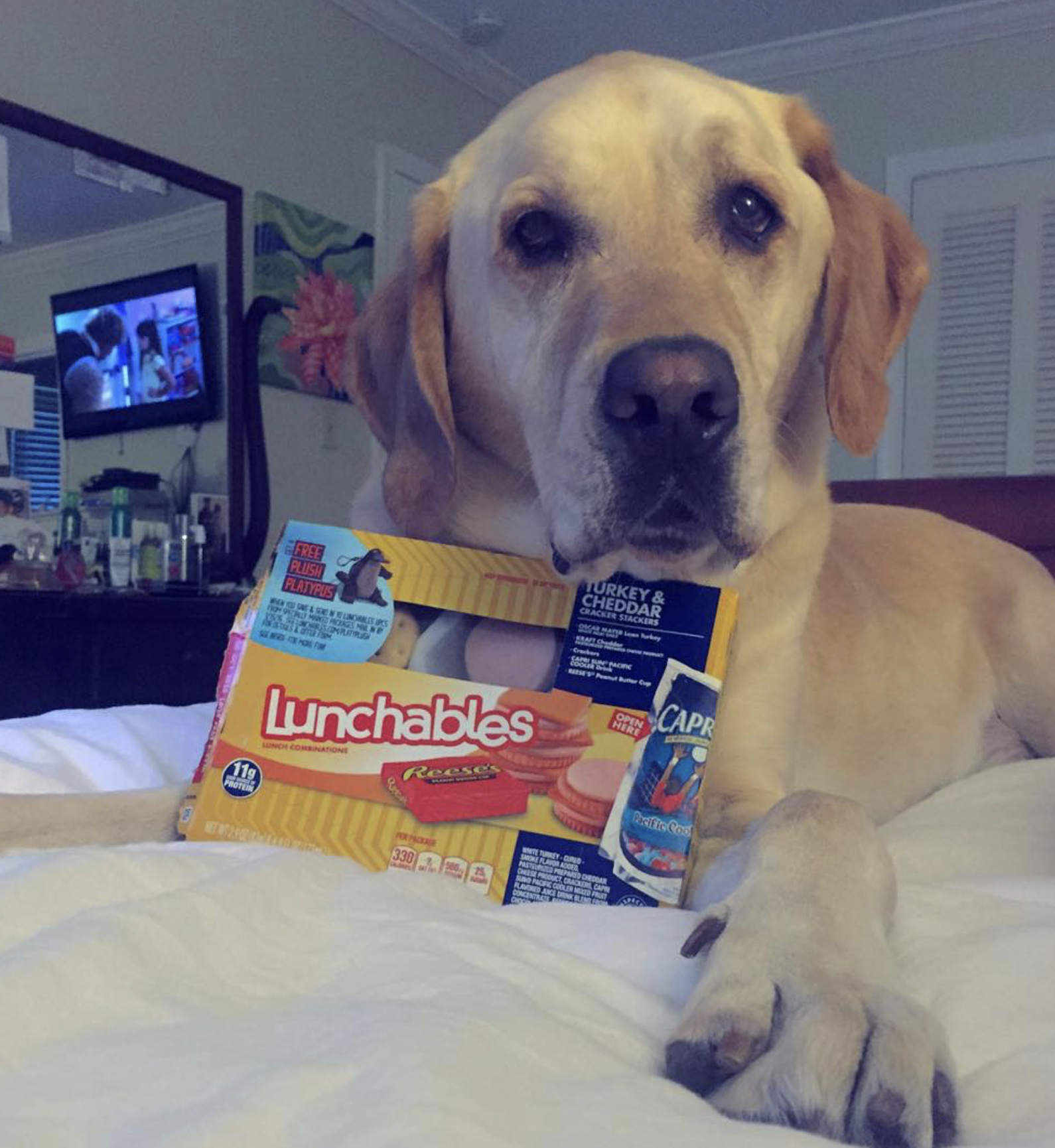 They tested out snacks and meals.