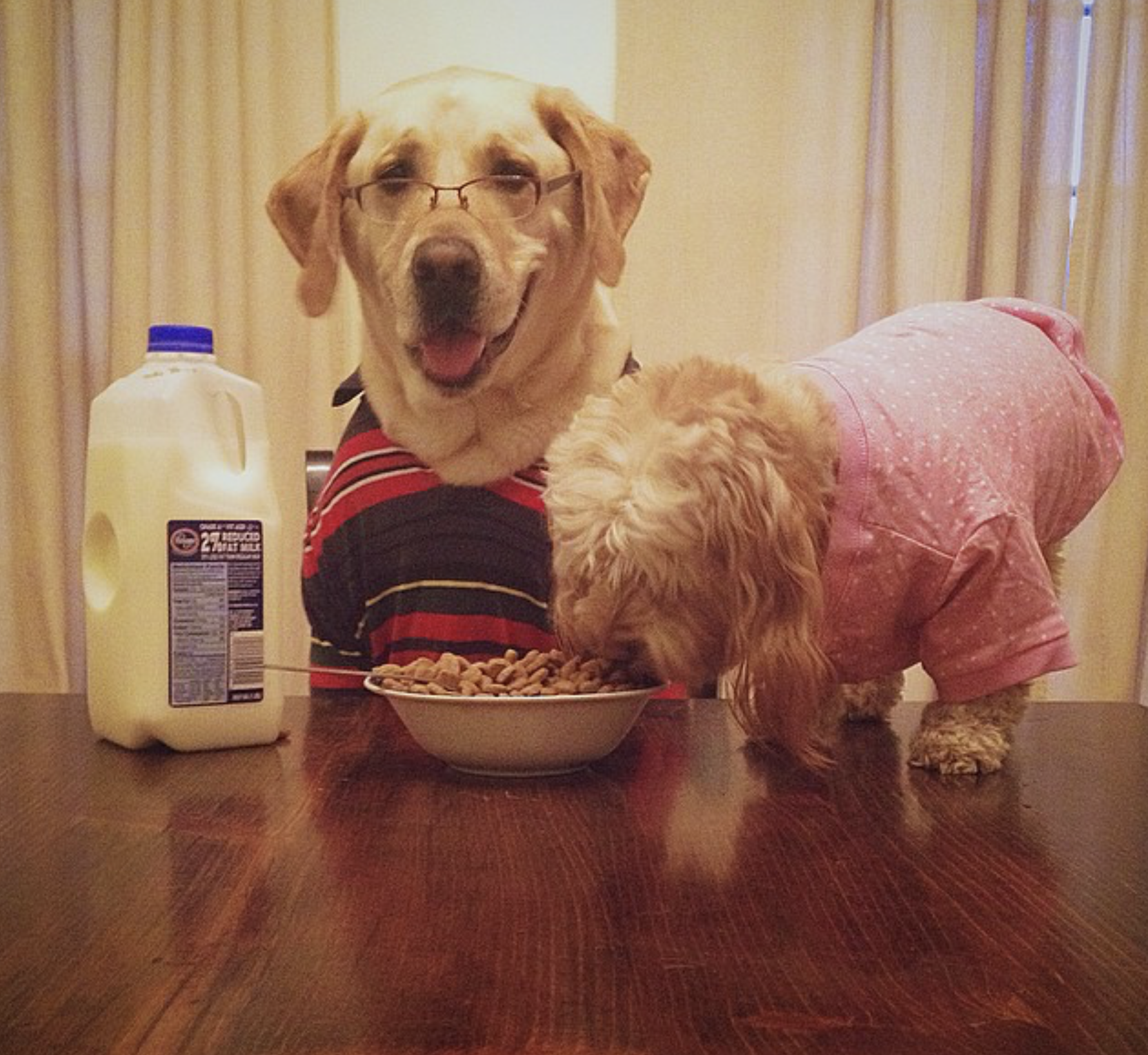 They learned the importance of keeping a full, happy belly.