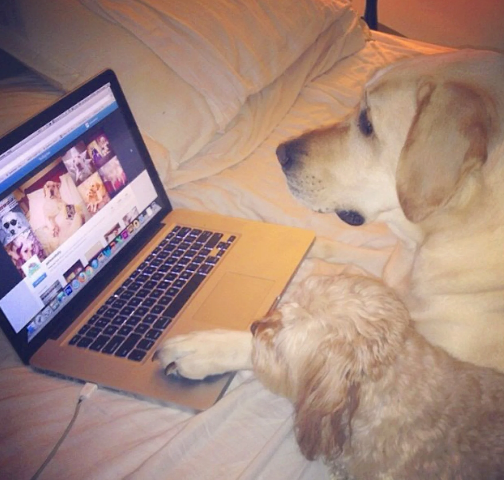 Pete and his ex-wife, Tally, started their own social influencer brand.