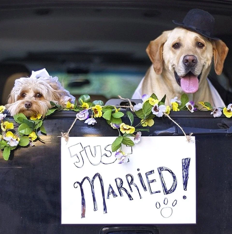 And eventually, the couple tied the knot.