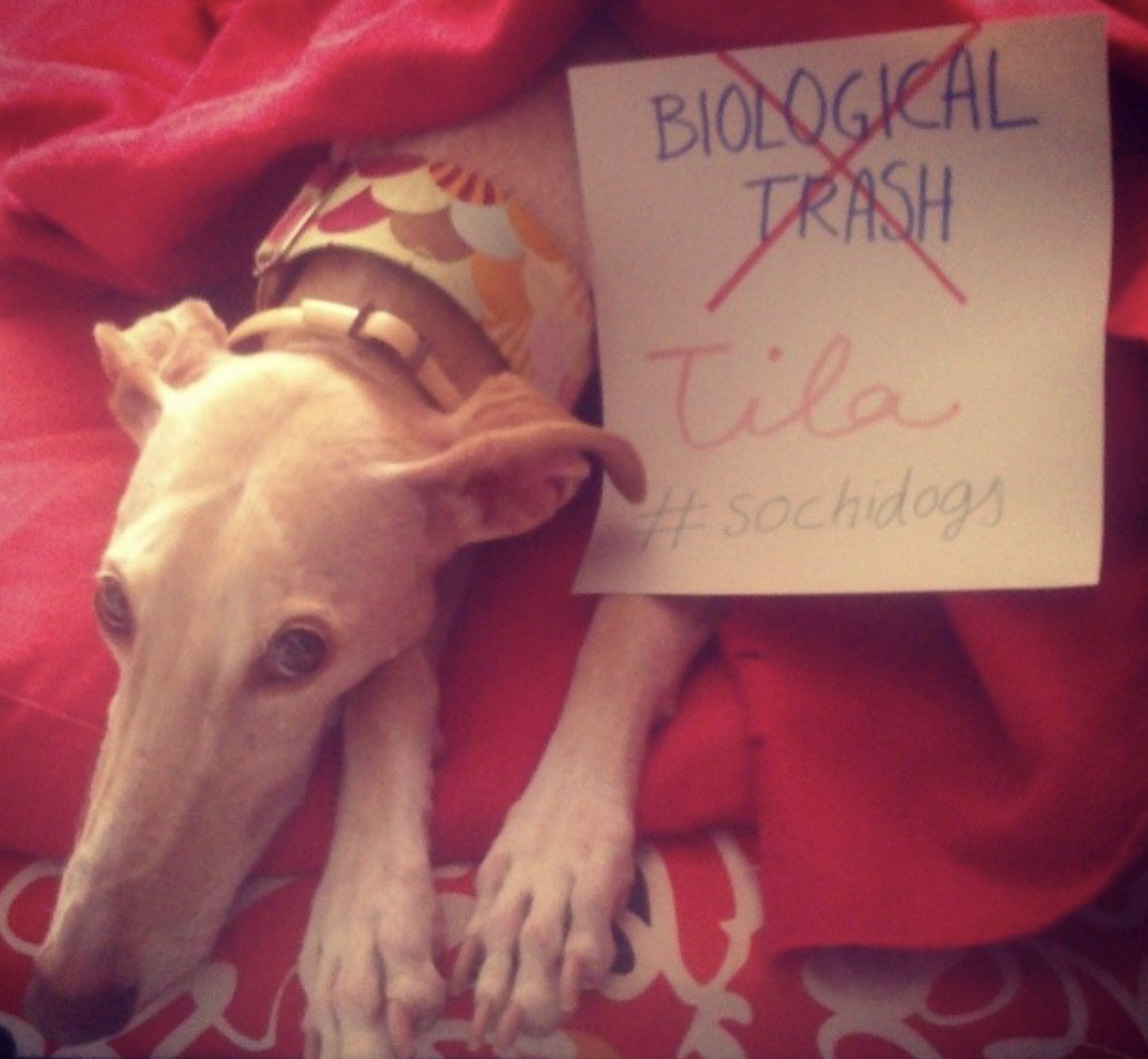 Tila