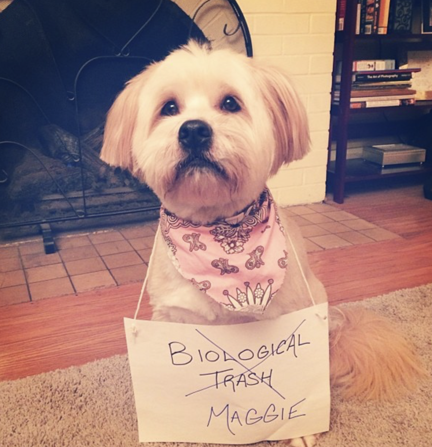 Maggie