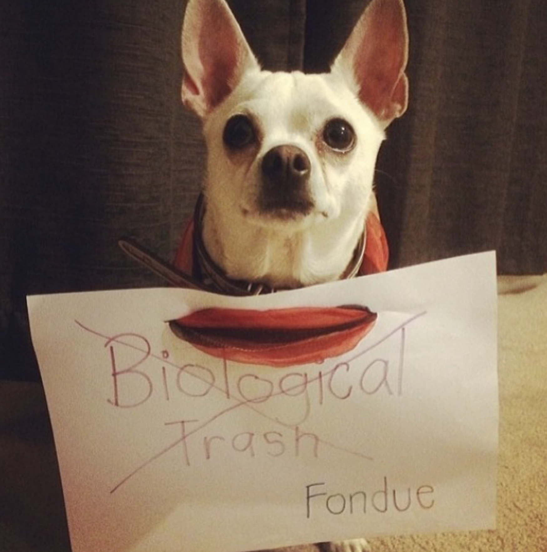 Fondu