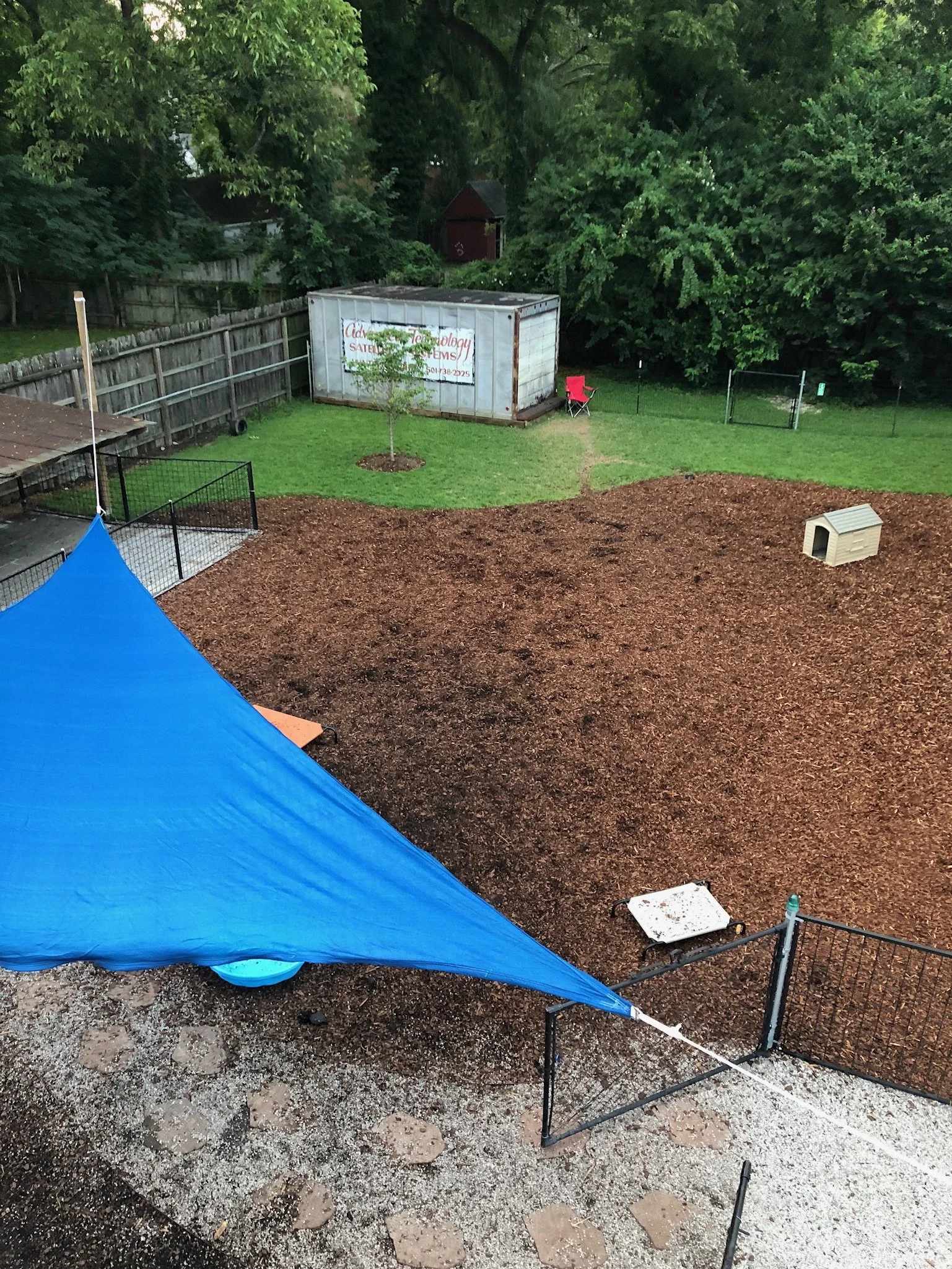 Shortly after the fresh yard opened up...