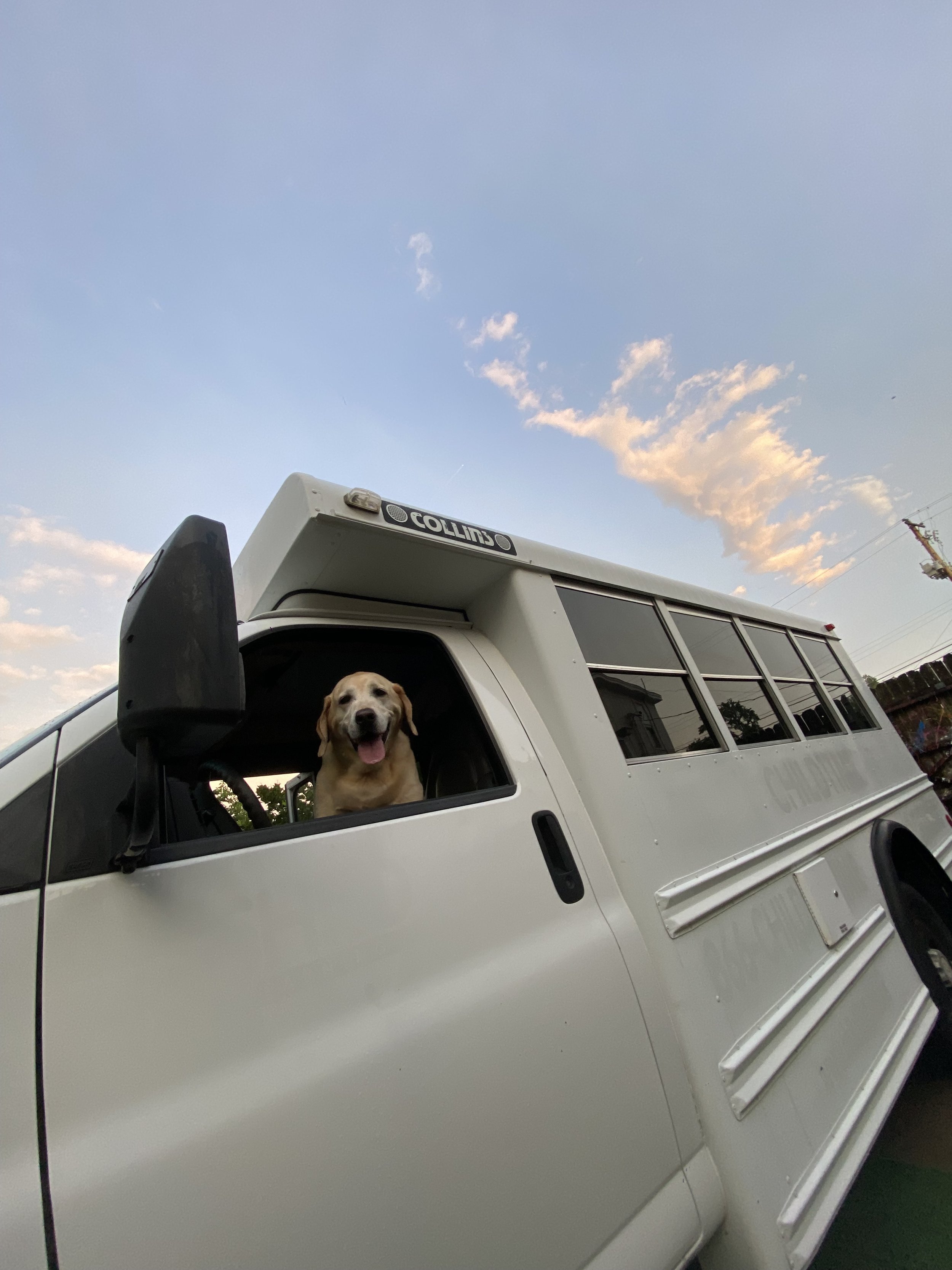 Bought a 2nd bus...