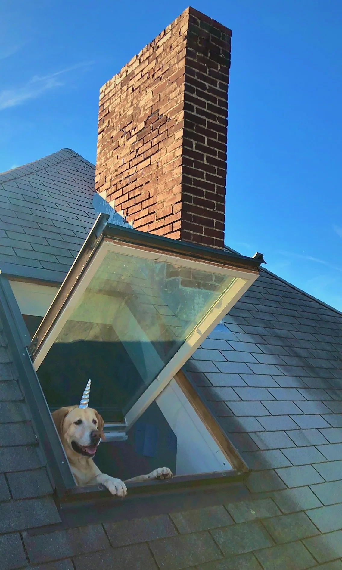 How Pete would start his day...