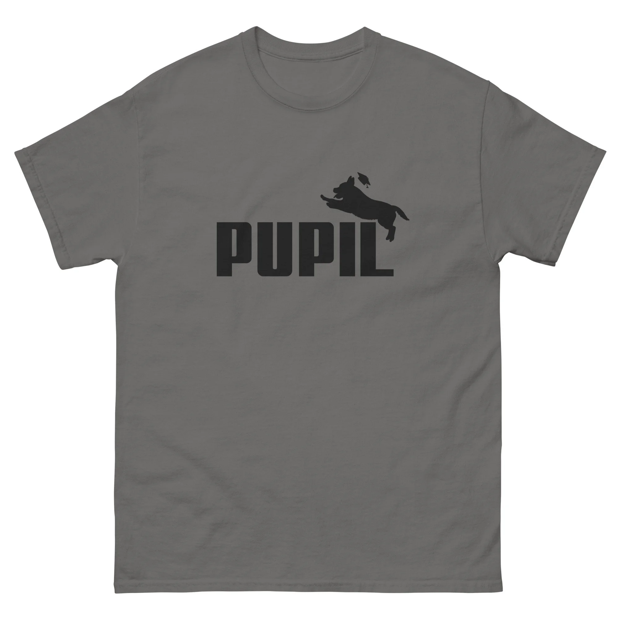 unisex-classic-tee-charcoal-front-687a739847c80.jpg