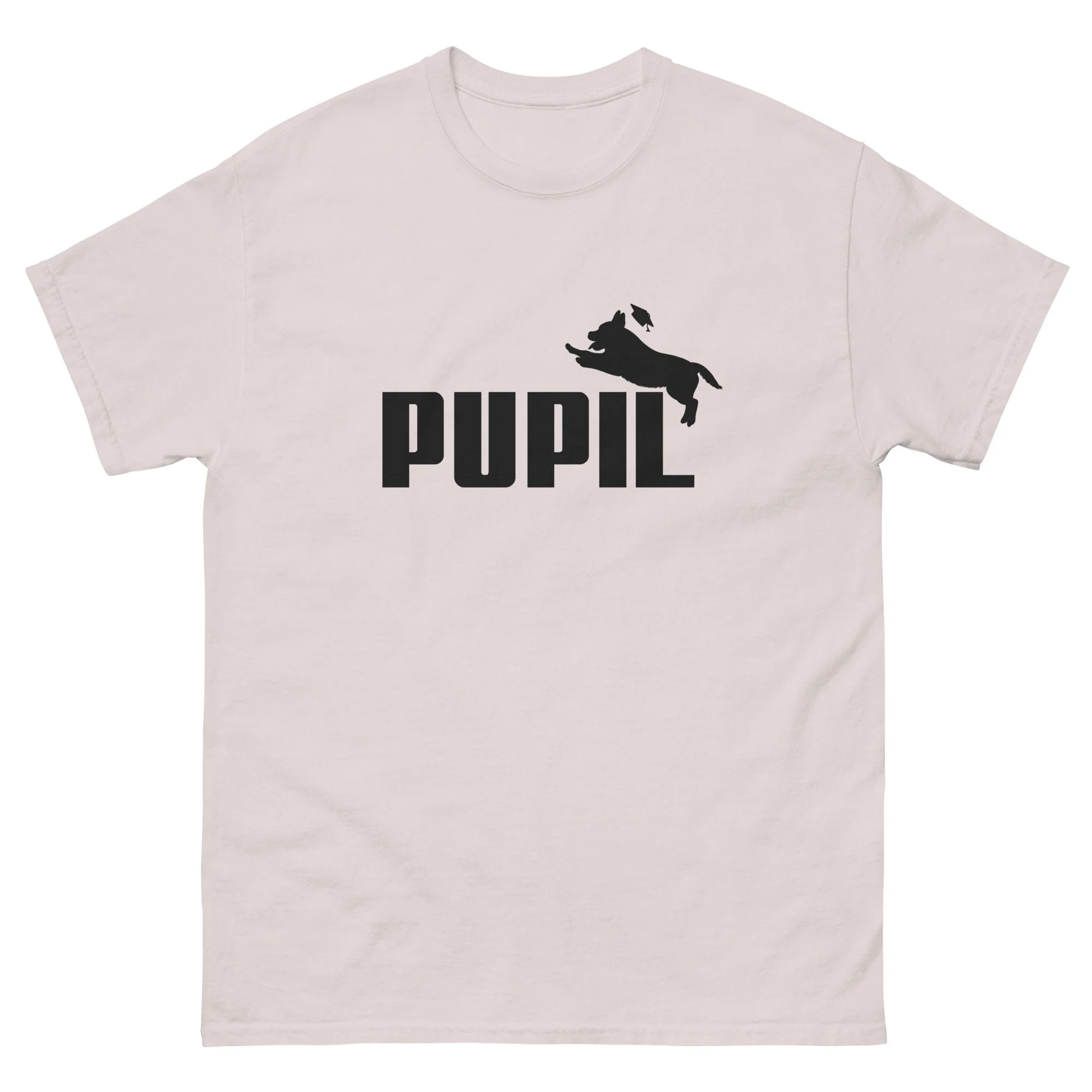 unisex-classic-tee-ice-grey-front-687a7398b2c96.jpg