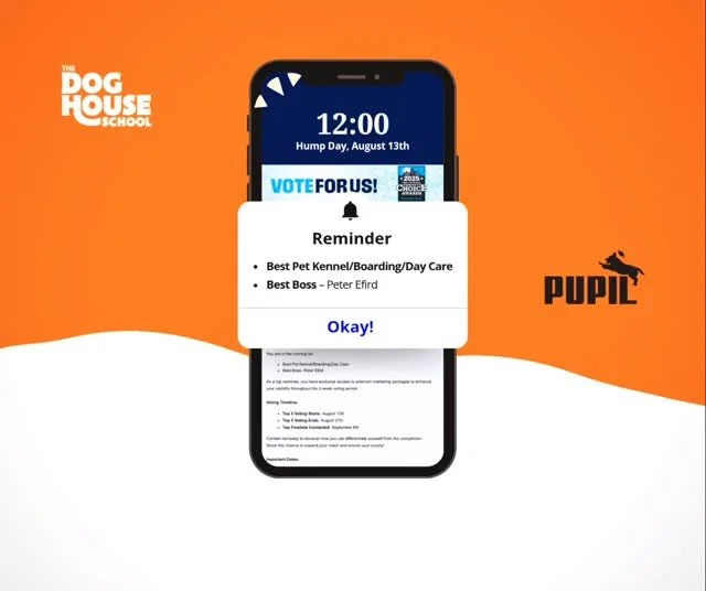 #Memphis, we’ve got 🦴s to pick… and 🏆s to claim.
The Doghouse School is up for:
✏️ Best Pet Kennel/Boarding/Day Care
✏️ Best Boss – Peter Efird (obviously)
We don’t do boring days or basic boarding.
We do recess. We do ba
