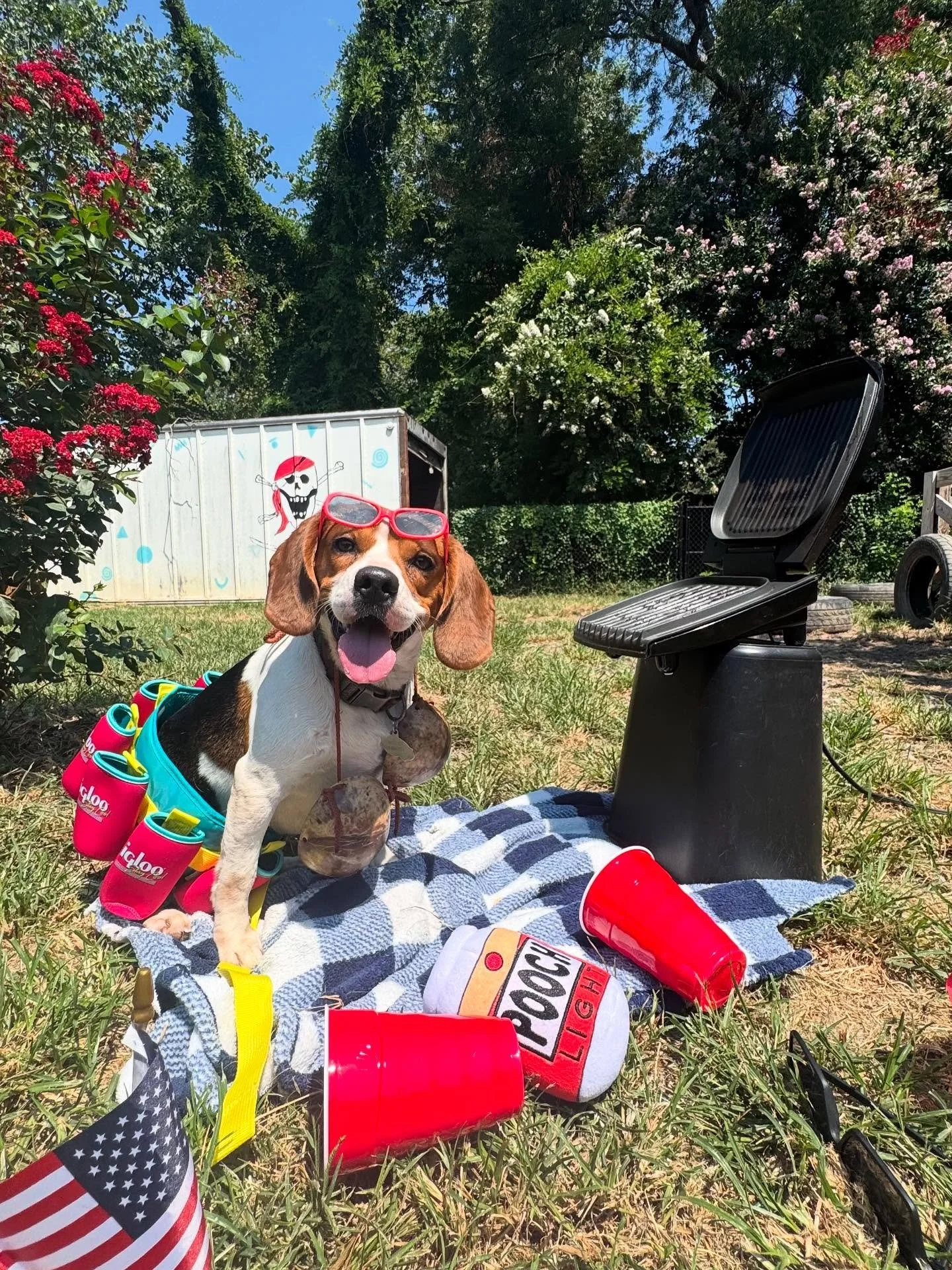 🐾 Bark-B-Que Day was pawsitively a success! 🐶💨
Thank you to every pup and pawrent who joined the fun. 🦴✨
But don’t put your leashes away just yet… we’ve got more tail-wagging events coming soon! 🎉🐕
👉 Check out our website&r